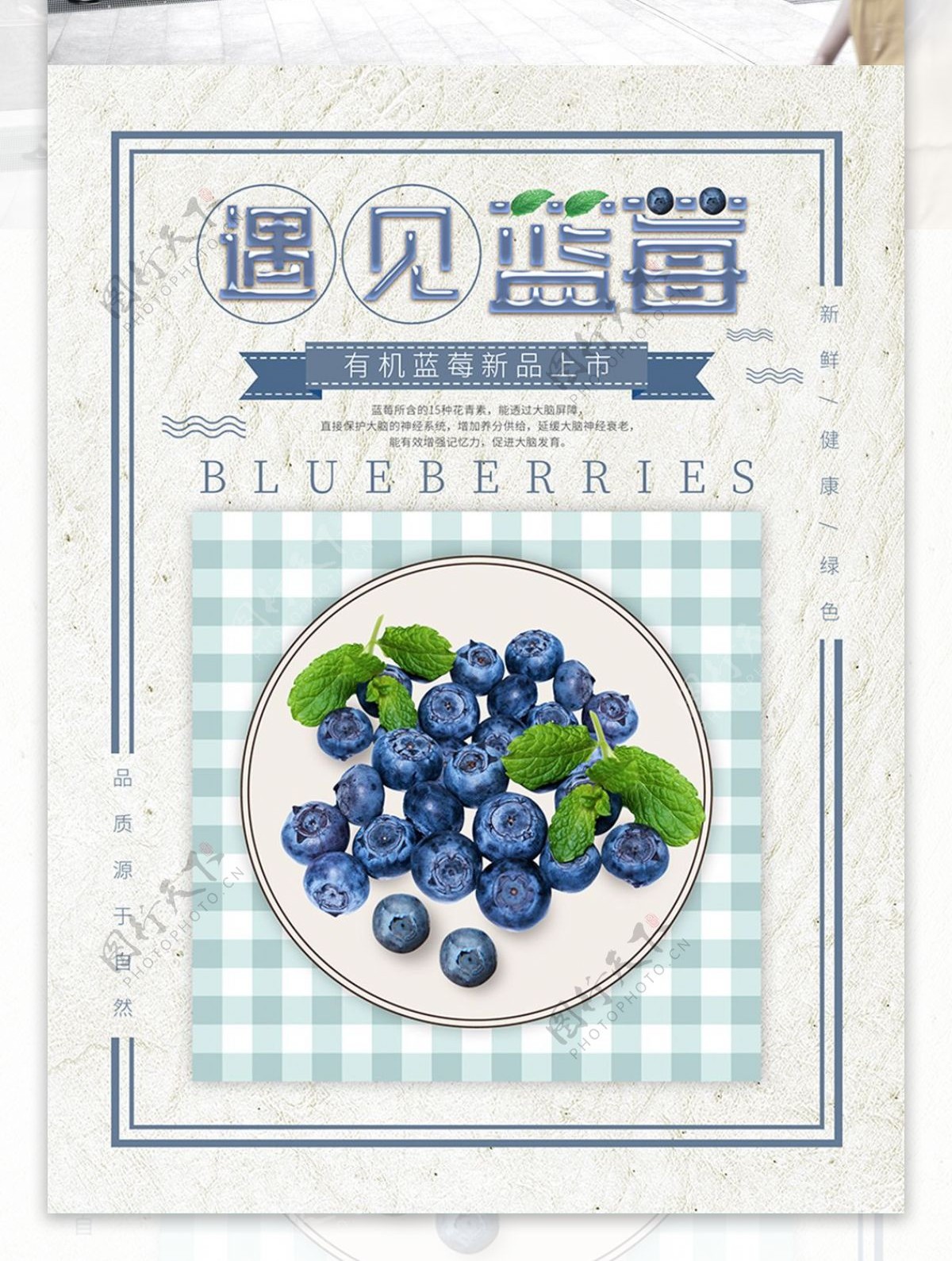 蓝色小清新创意蓝莓海报设计
