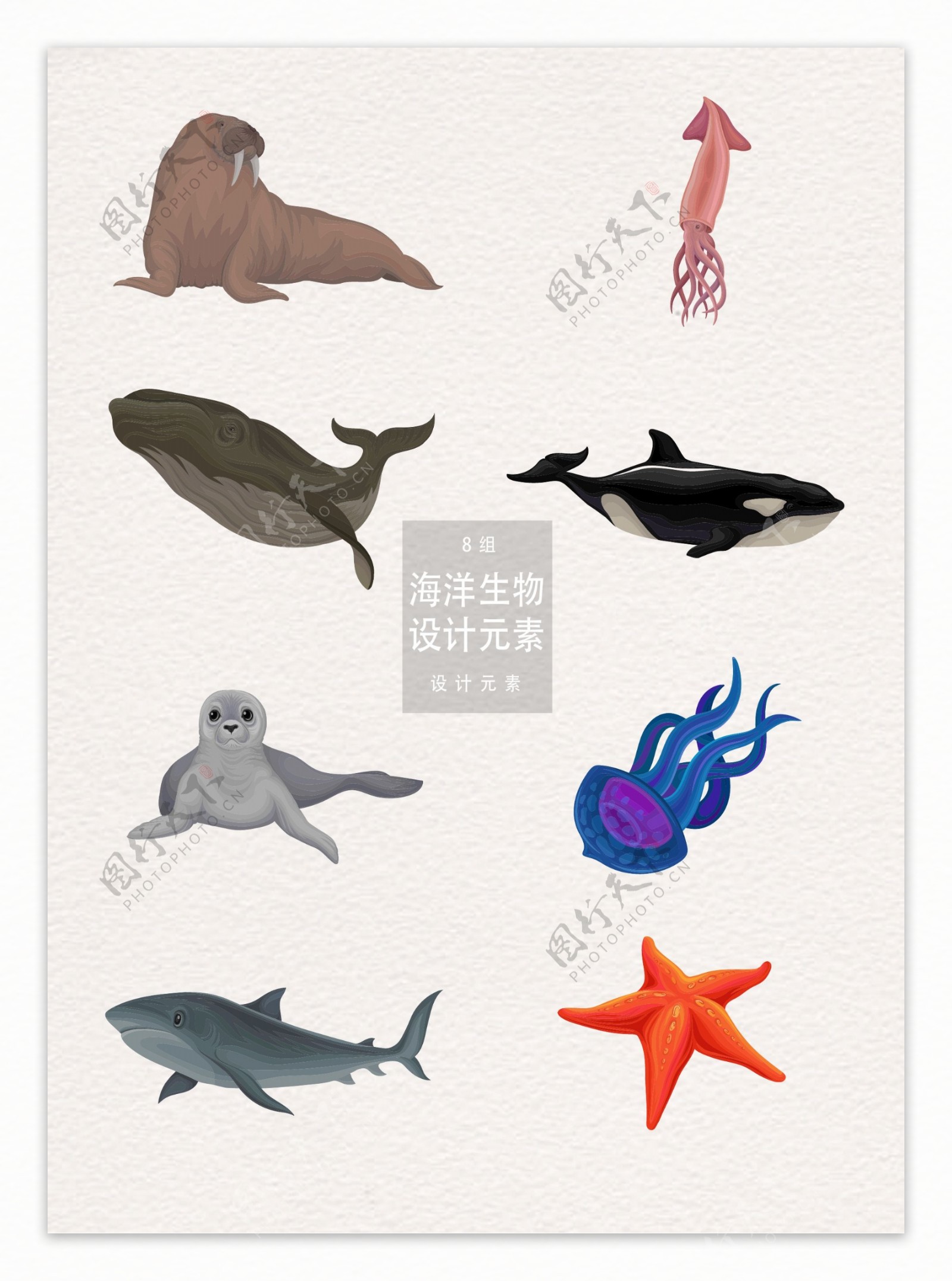 海洋生物插画设计元素