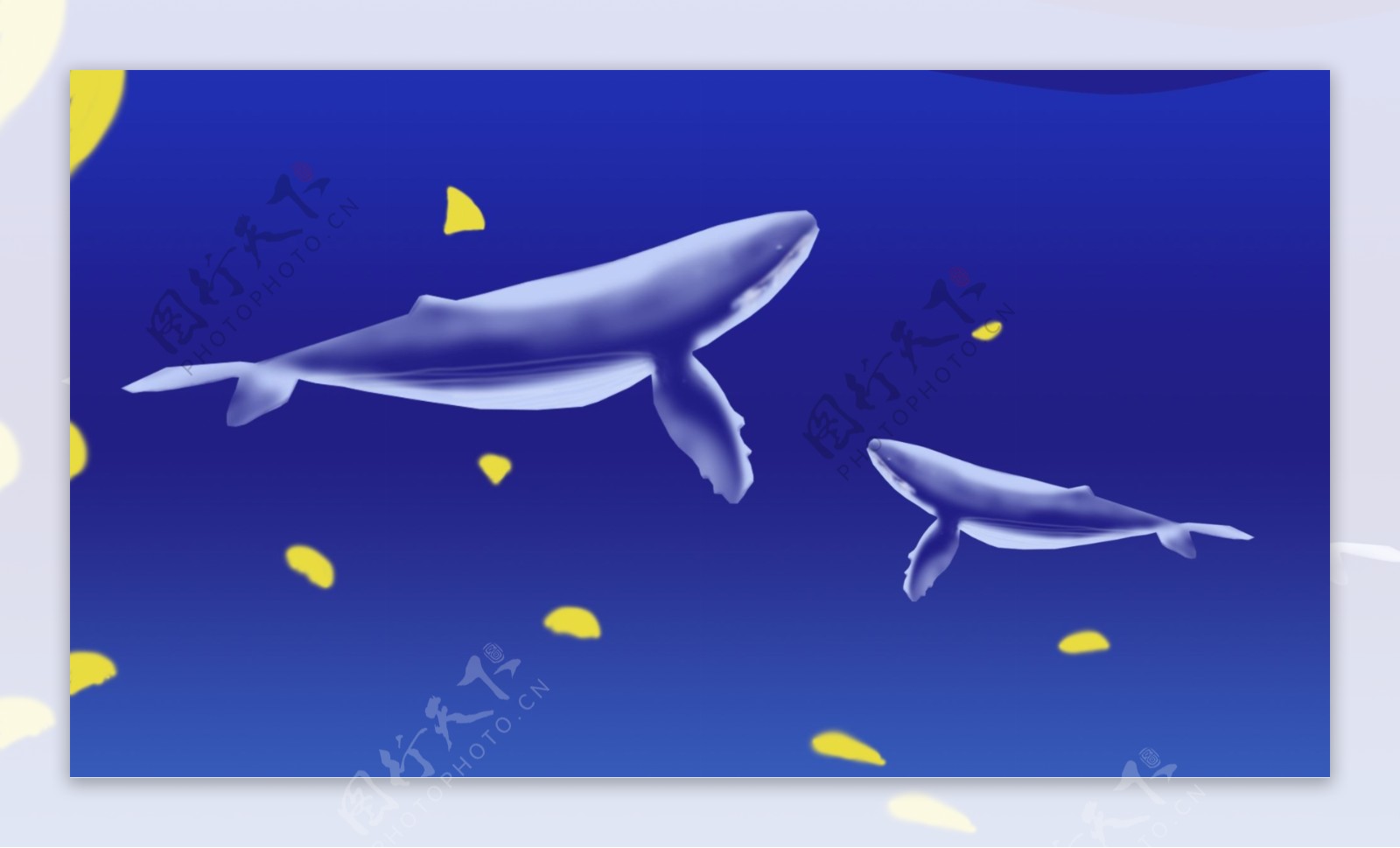 蓝色海洋中嬉戏的卡通鲸鱼背景