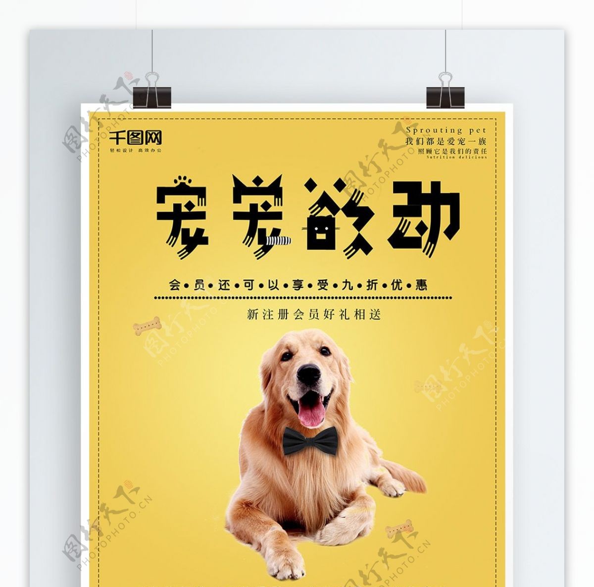宠物商店黄色促销海报psd高清下载
