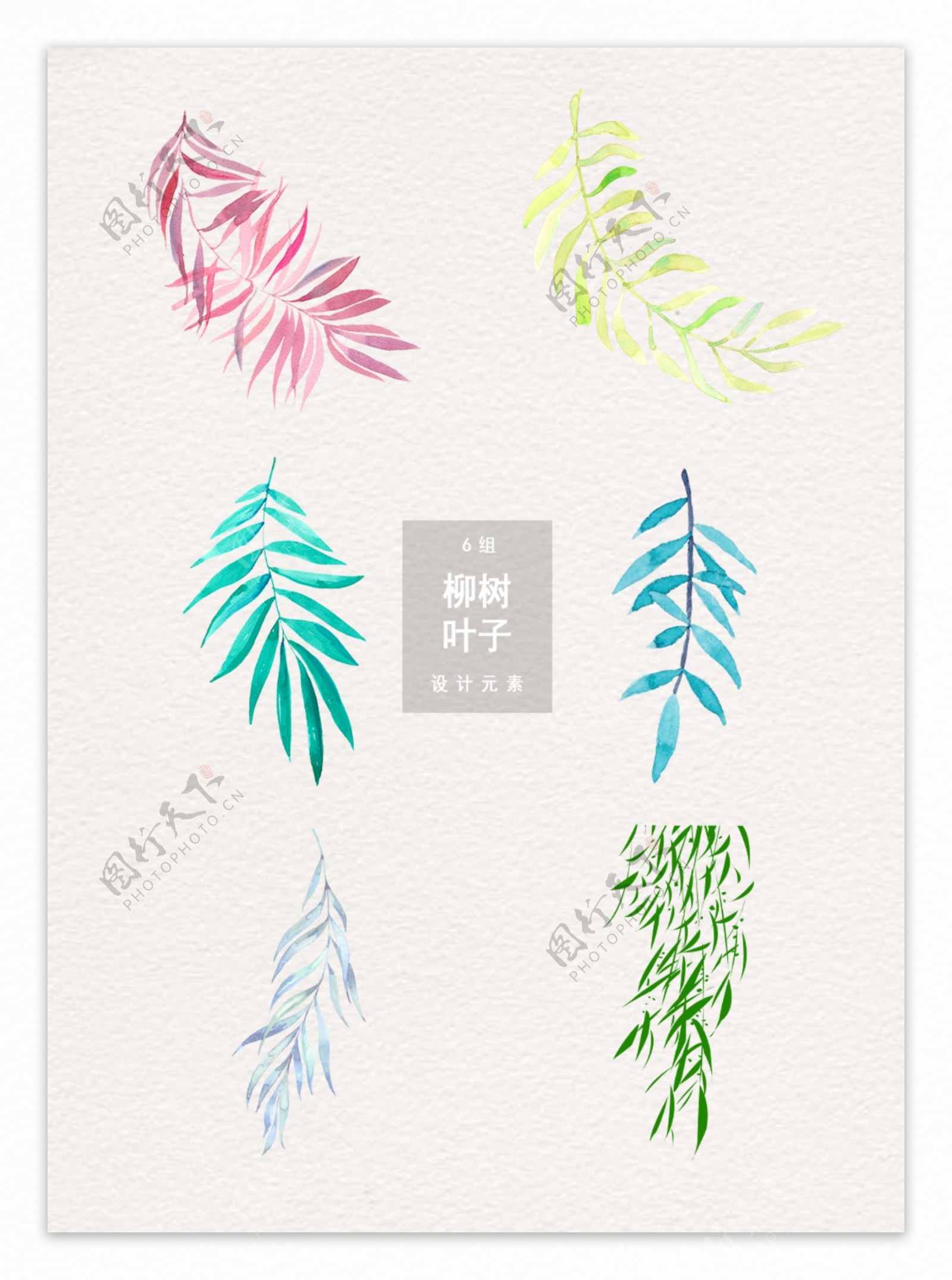 清新柳树叶子装饰图案设计