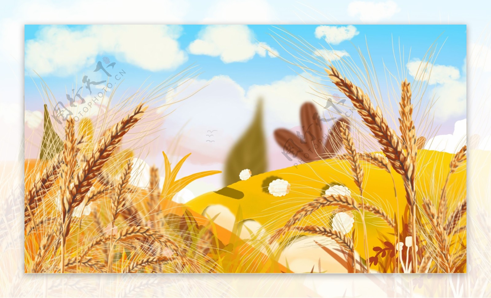 秋分节气小麦麦田天空背景设计