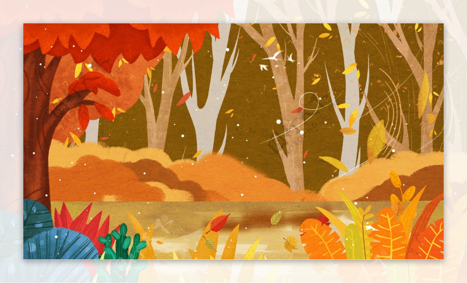 彩色秋季树林背景图片