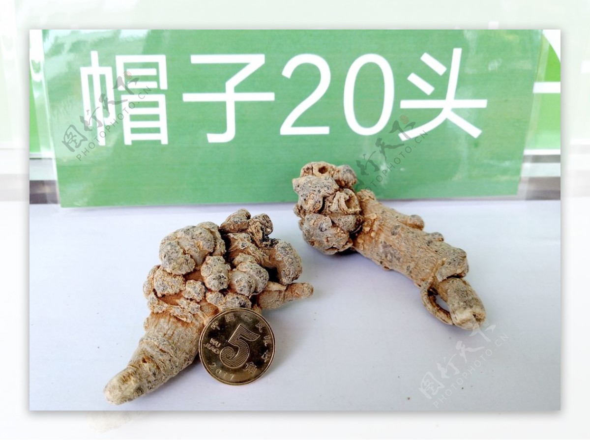 20头三七