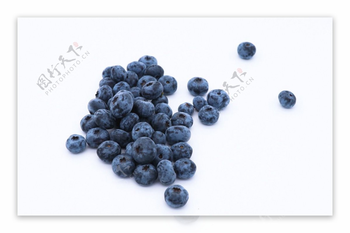 高清蓝莓图片素材