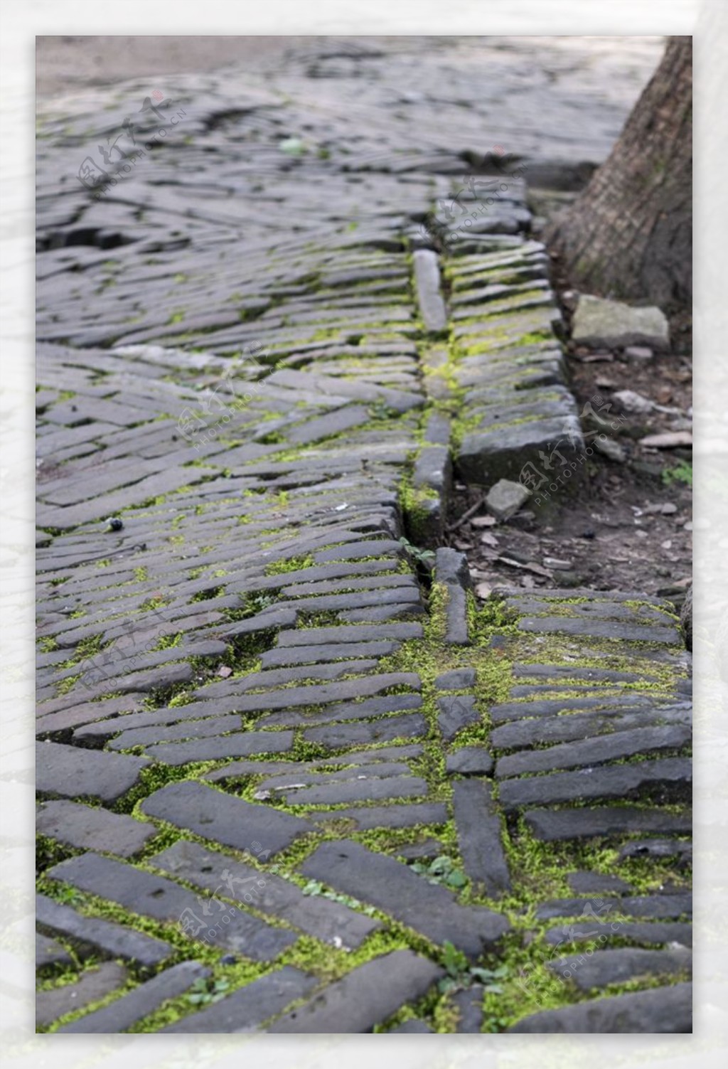 青石砖路苔藓绿苔路