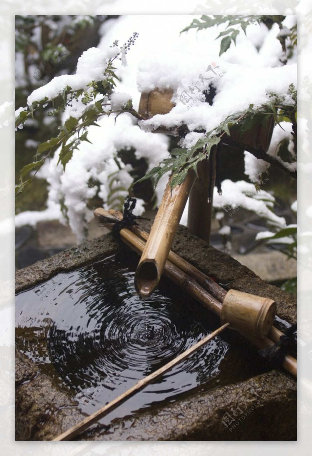 雪水松树枝竹桶流水