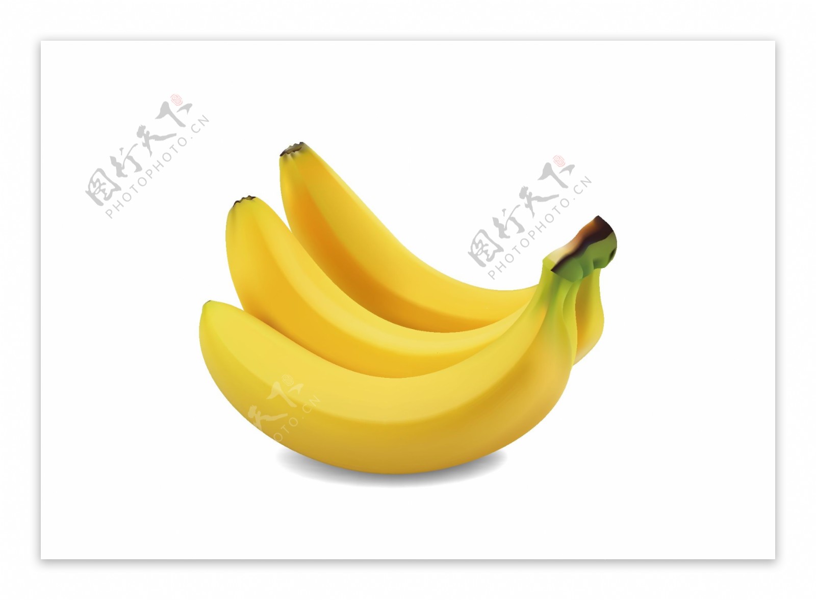 香蕉绘制矢量图