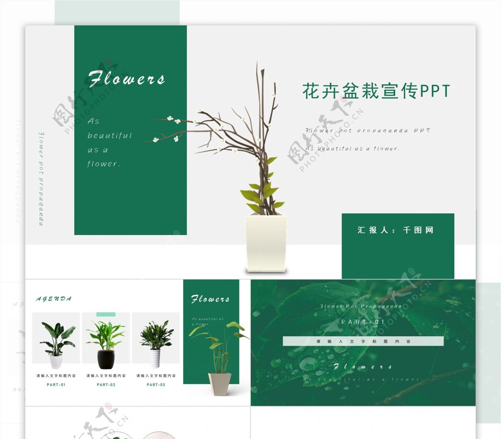 简约绿色花卉盆栽宣传PPT模板