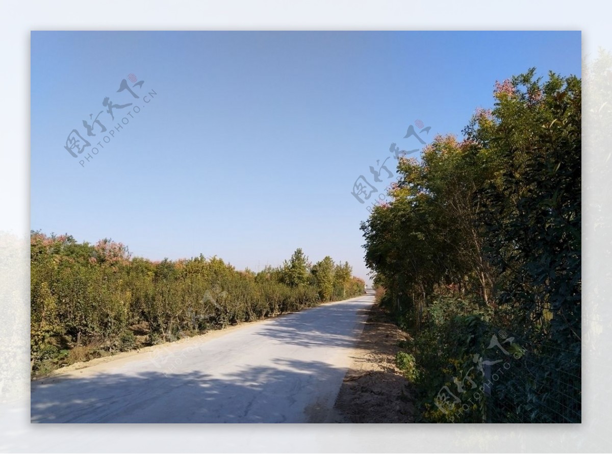 乡村道路风景