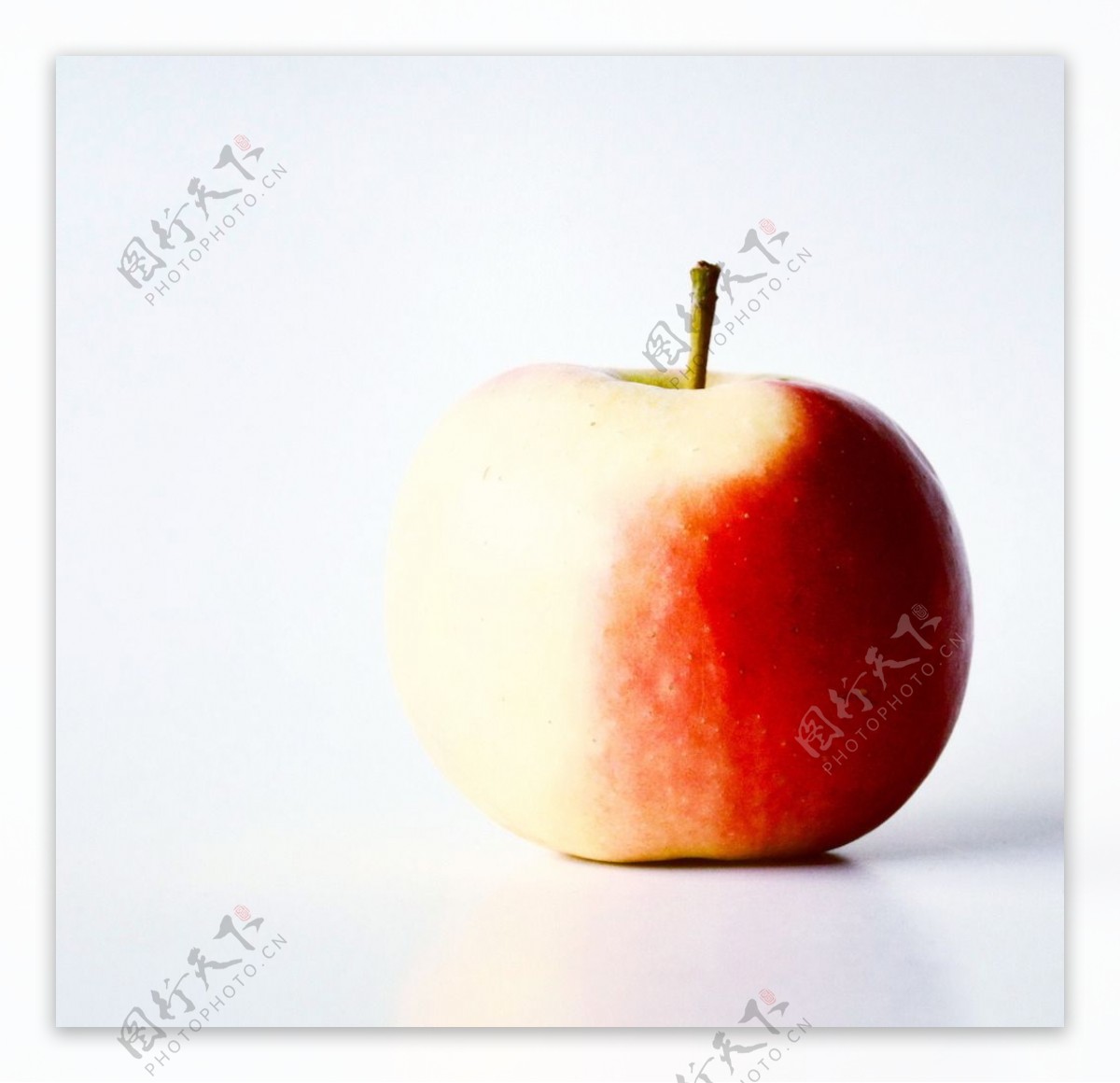 成熟红苹果图片素材