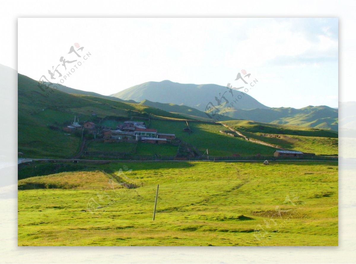 美丽的草原风景