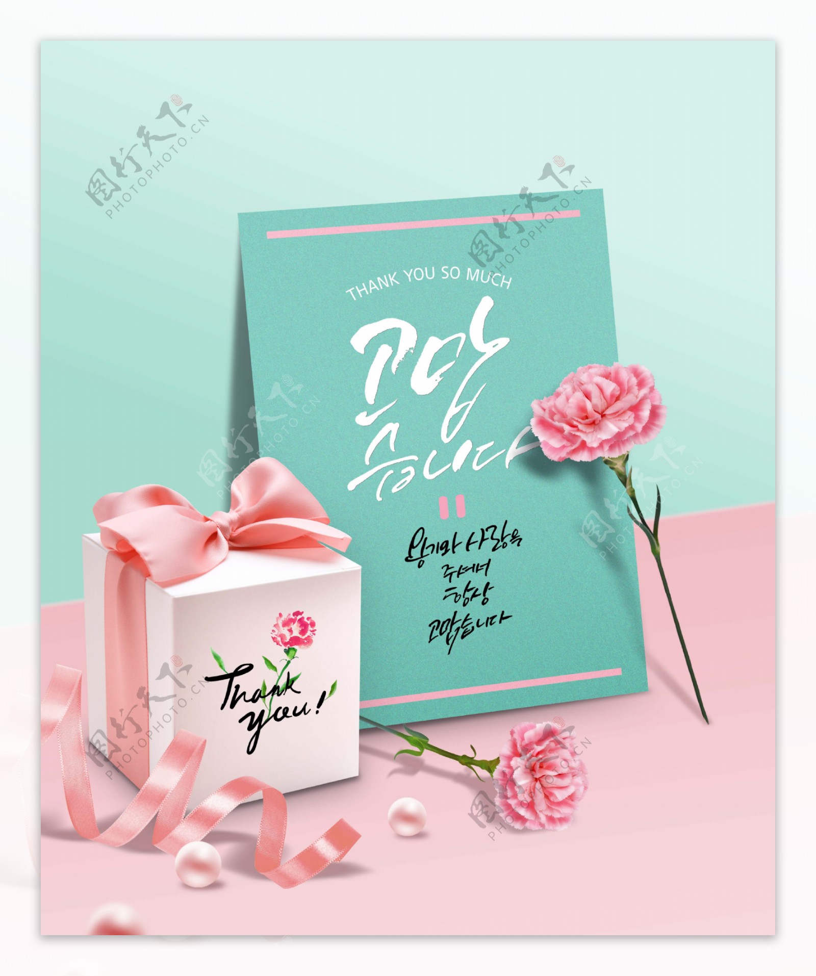 韩系温馨粉色康乃馨礼物海报设计