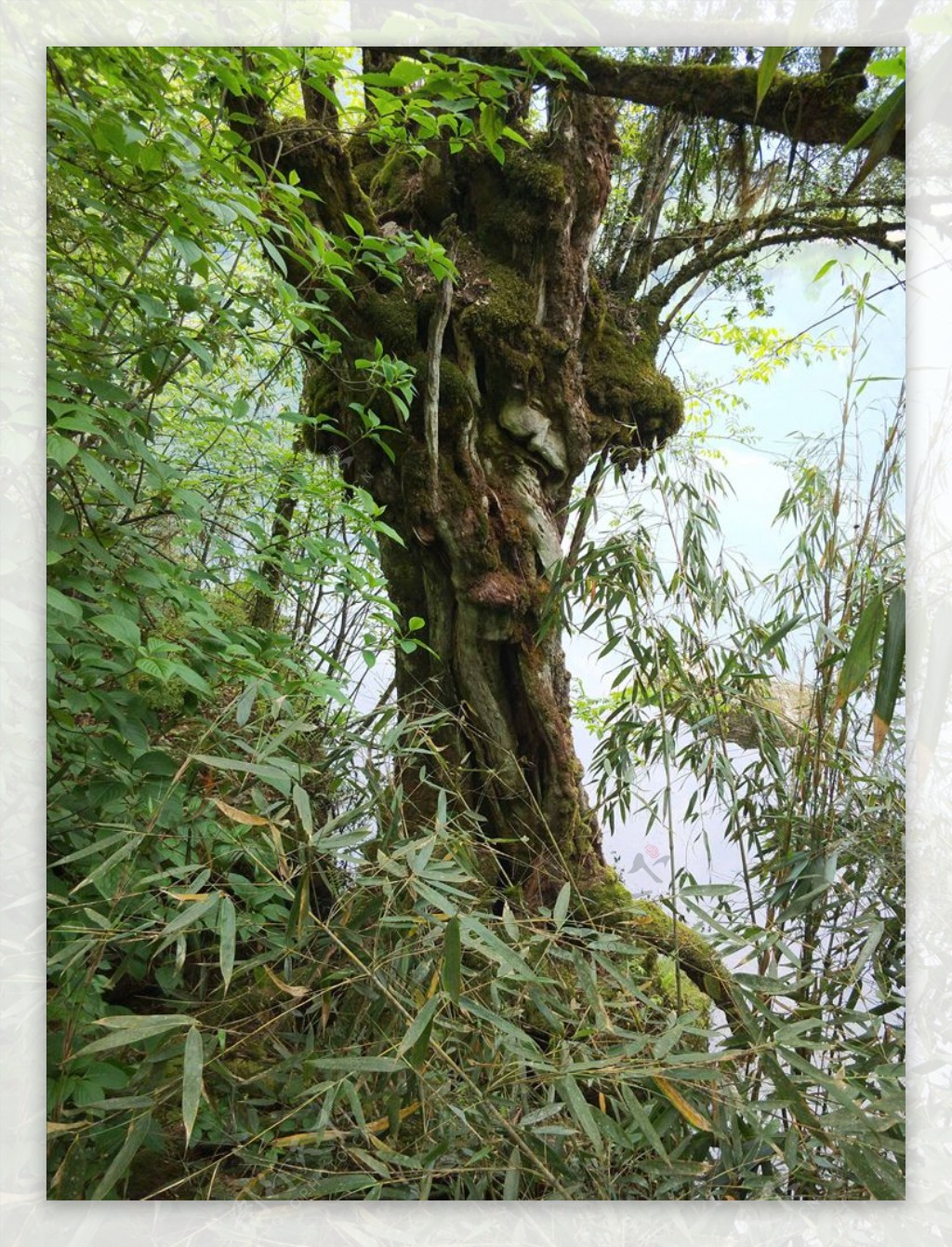 龙池风景区