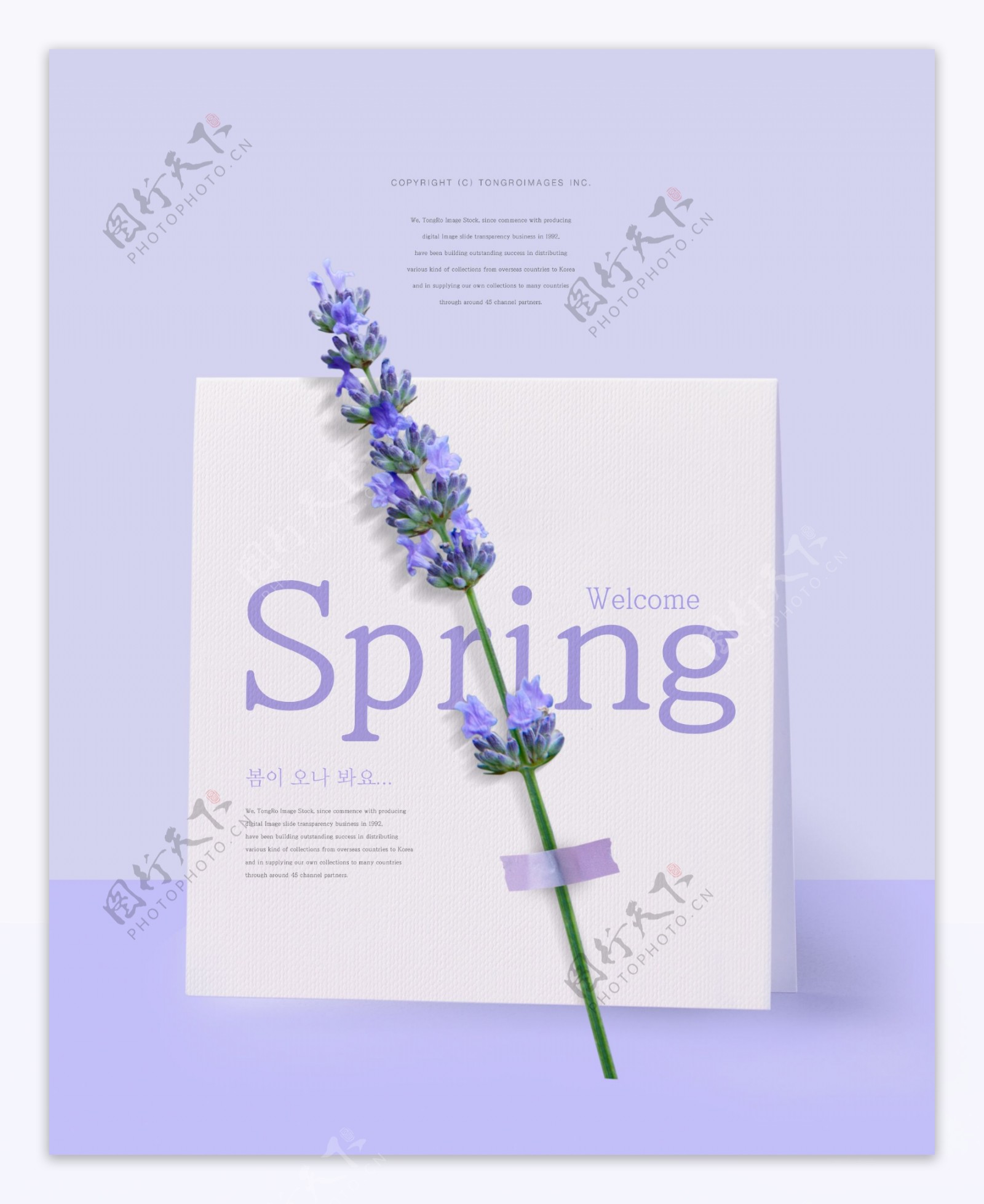 唯美紫色春天气息海报模板设计