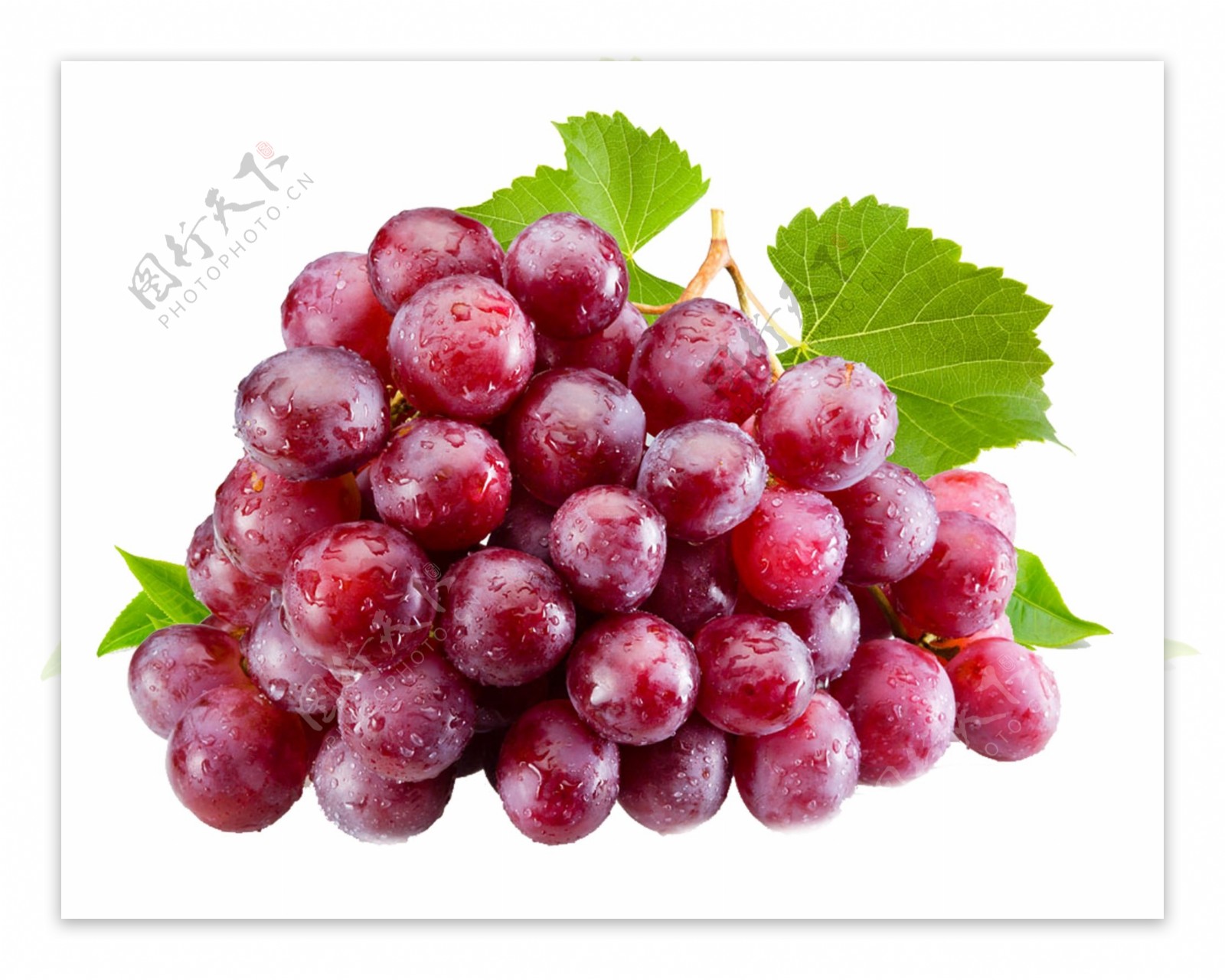 葡萄水果图案元素