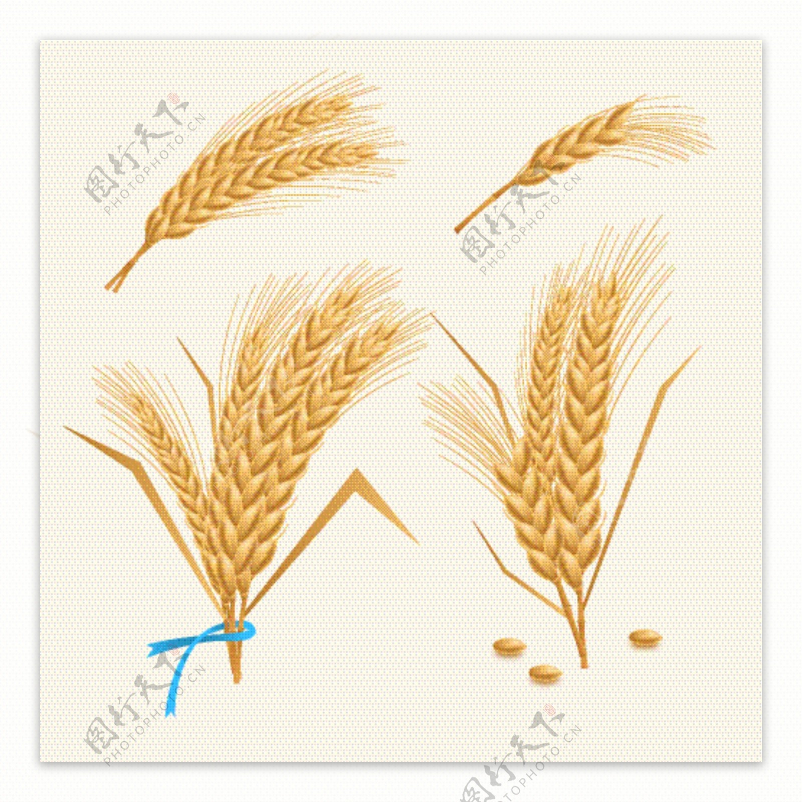 创意小麦束插画矢量图