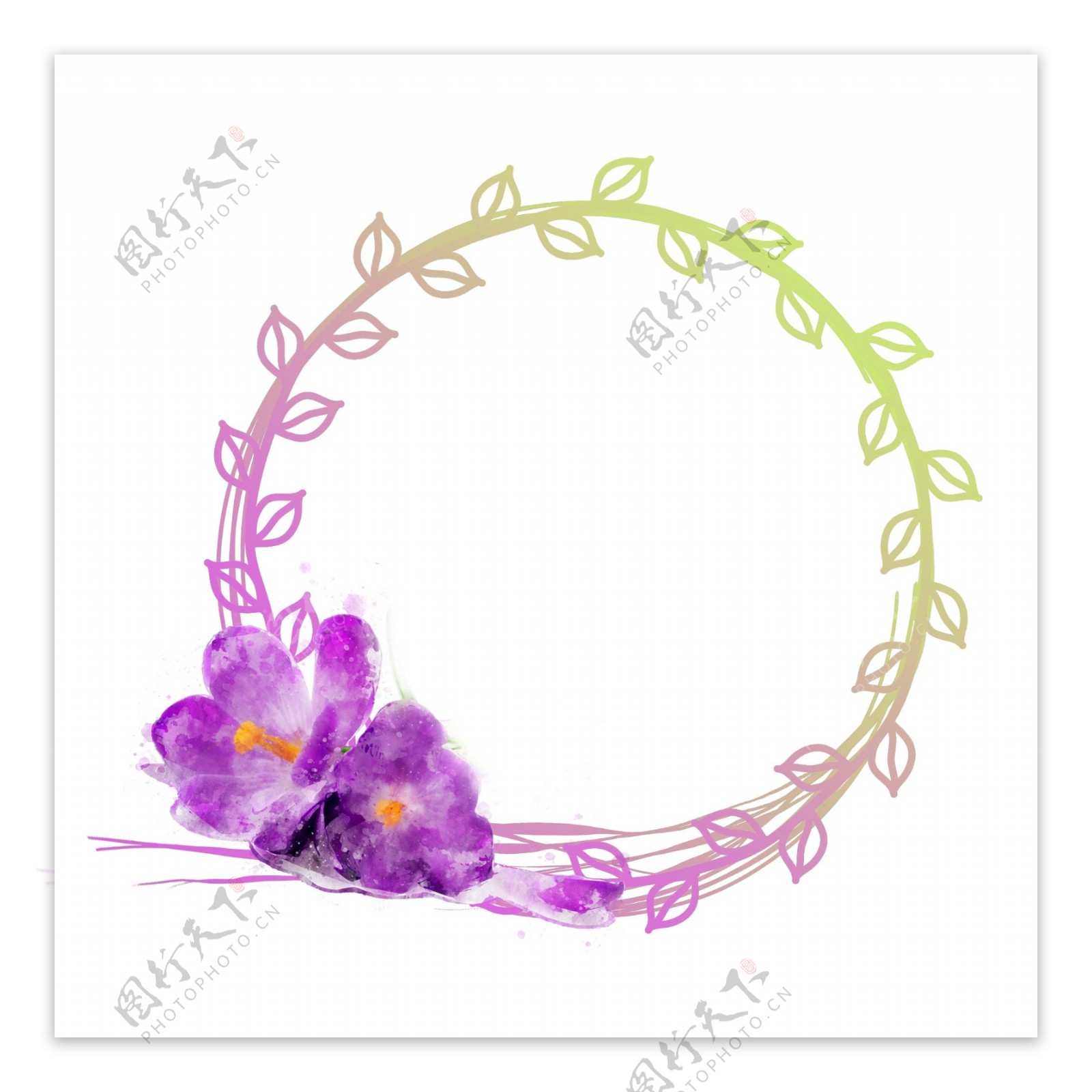 手绘紫色植物花卉水彩圆形边框元素