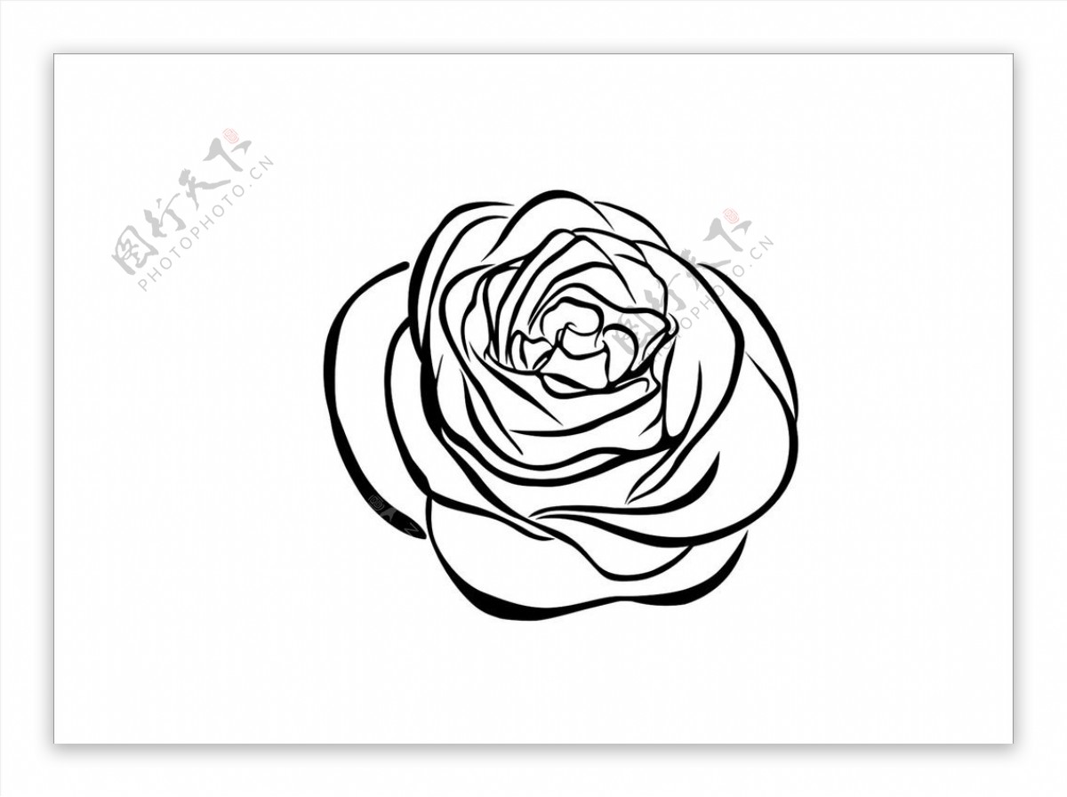 玫瑰花轮廓图