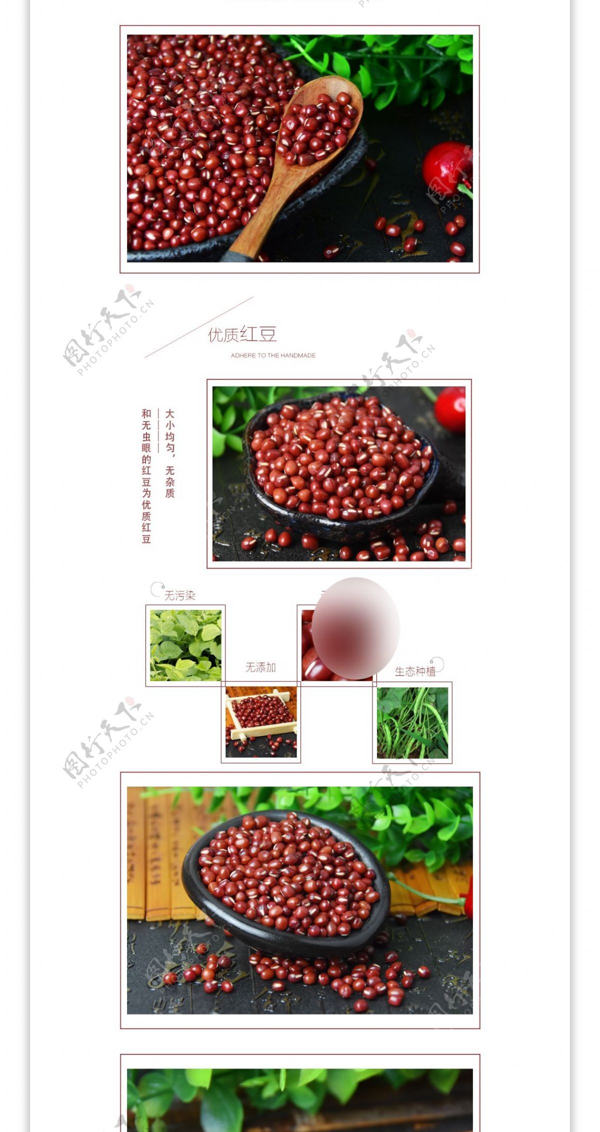 中药红豆详情设计模板