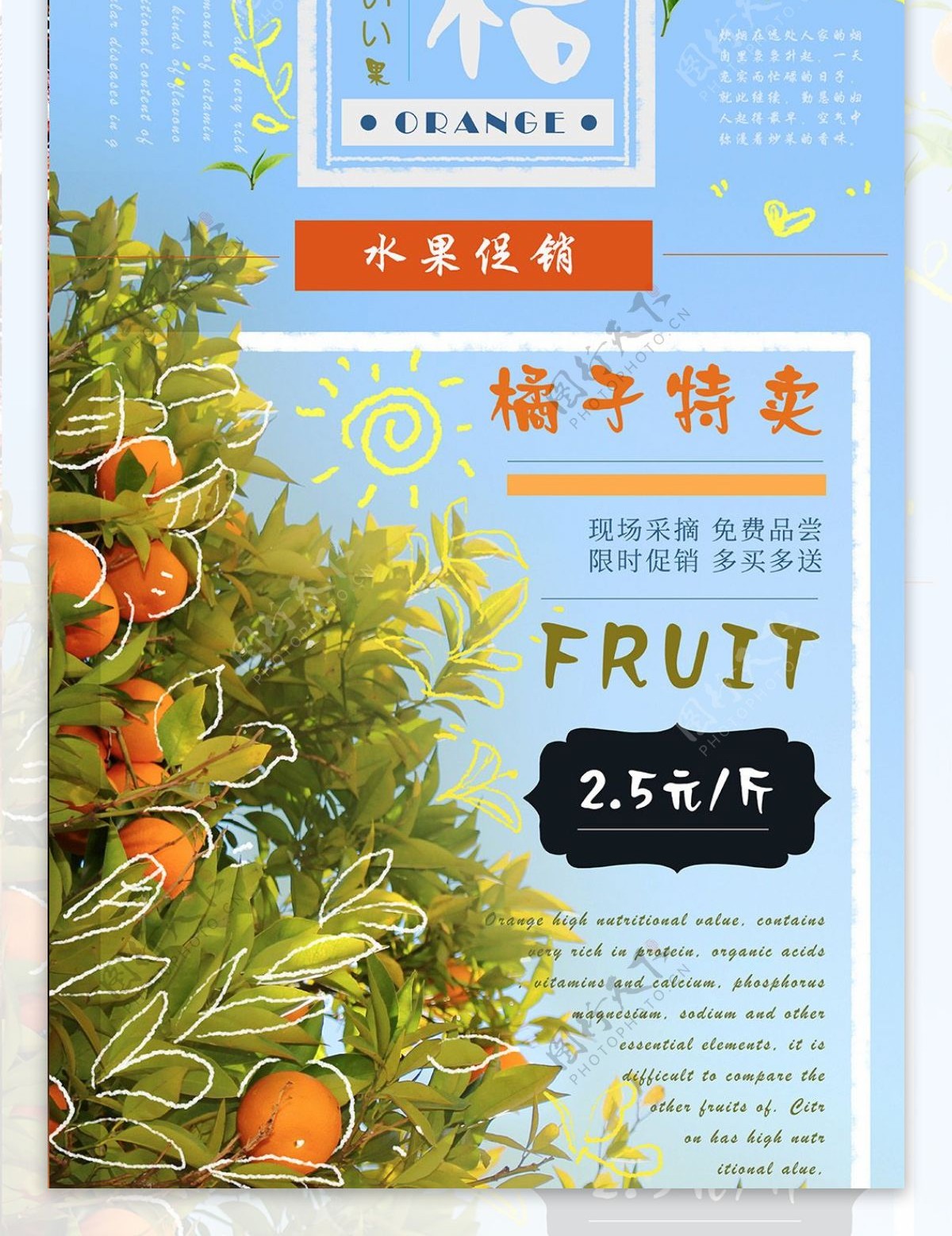 冬季水果清新蜜桔易拉宝促销海报