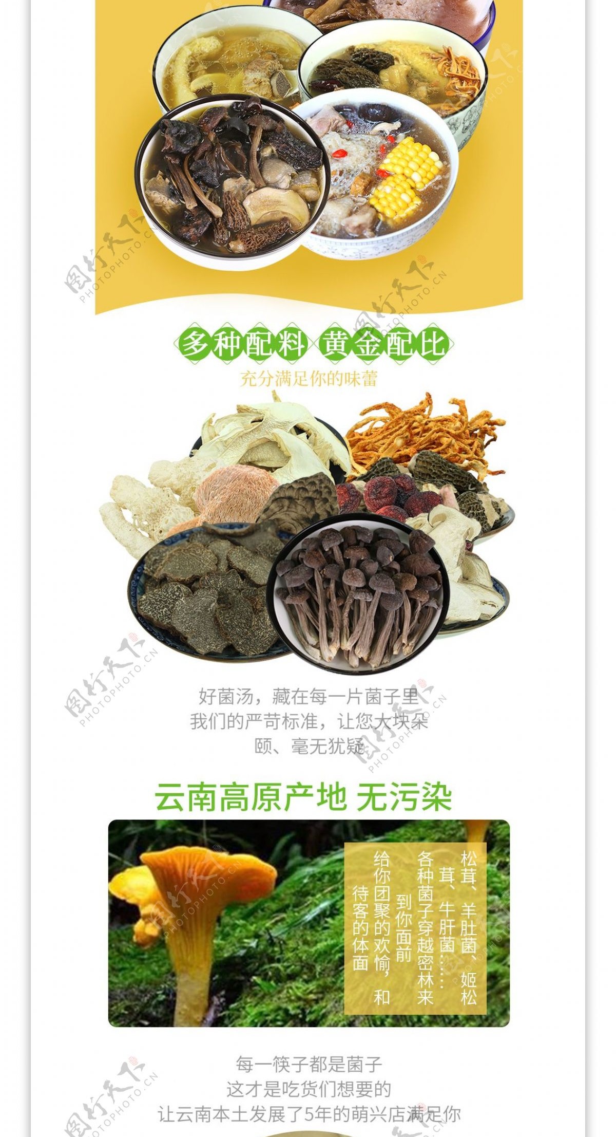 黄绿色清新简约食品汤料菌子电商淘宝详情页