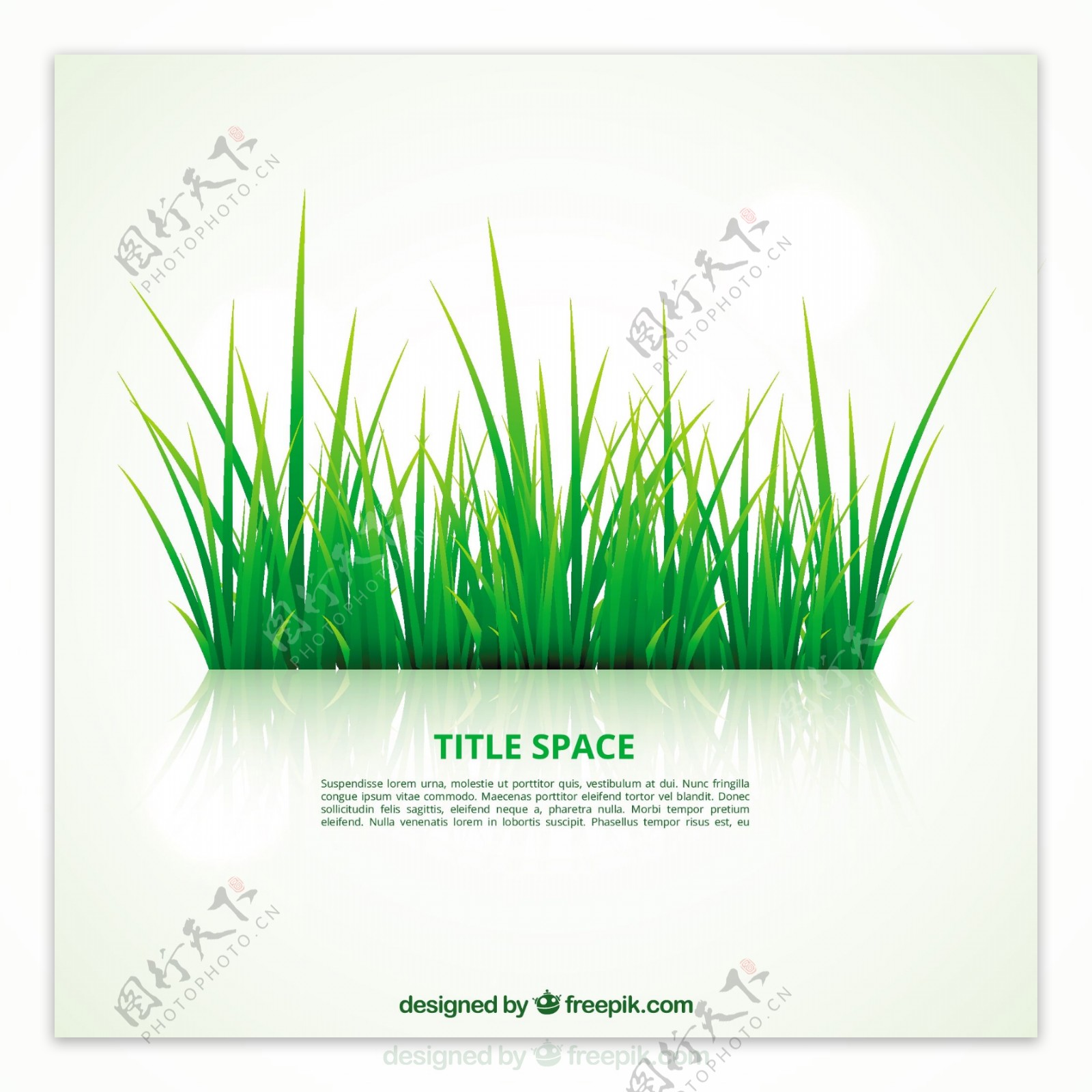 绿色草地模板