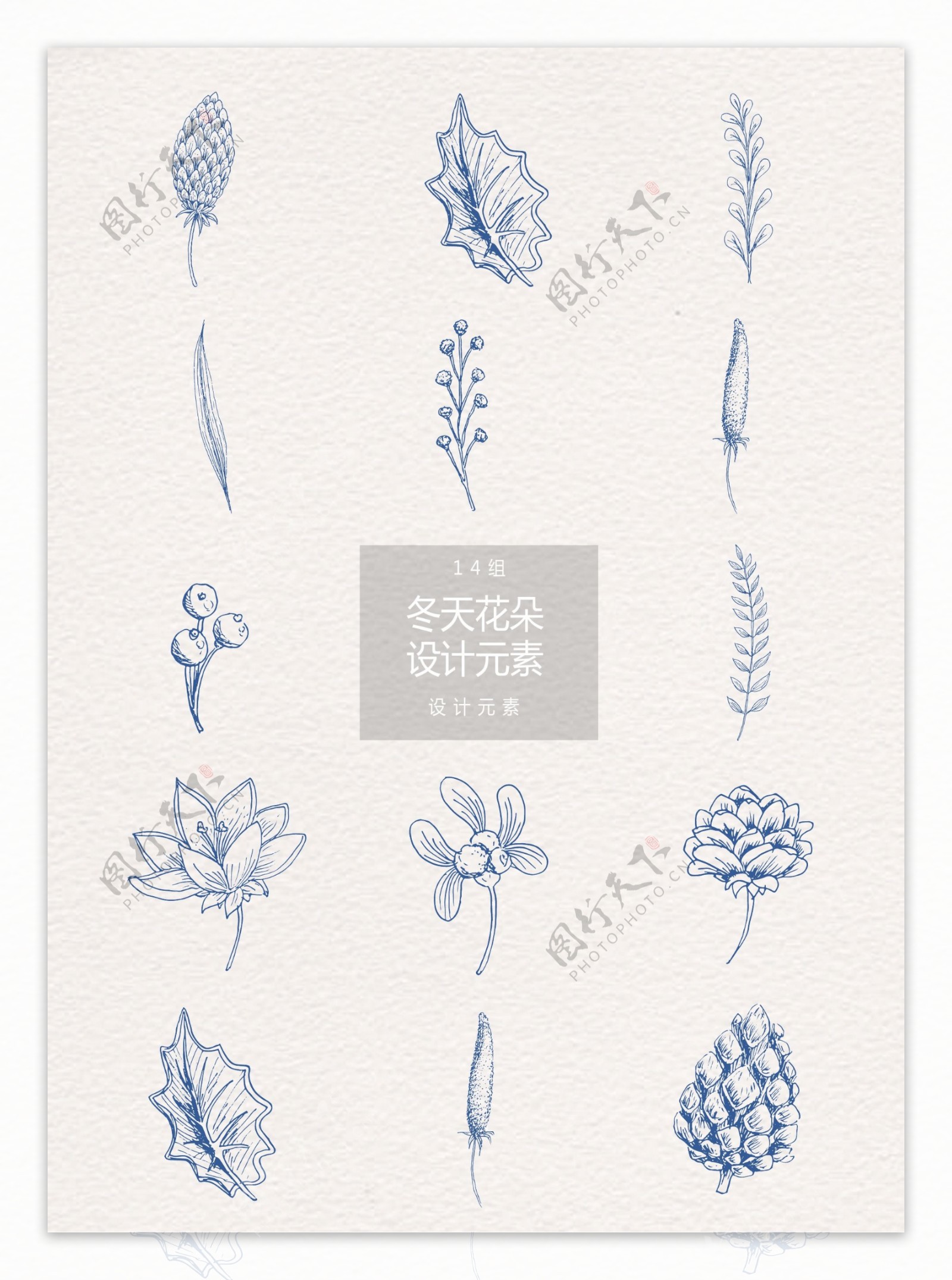手绘冬季花卉植物设计元素