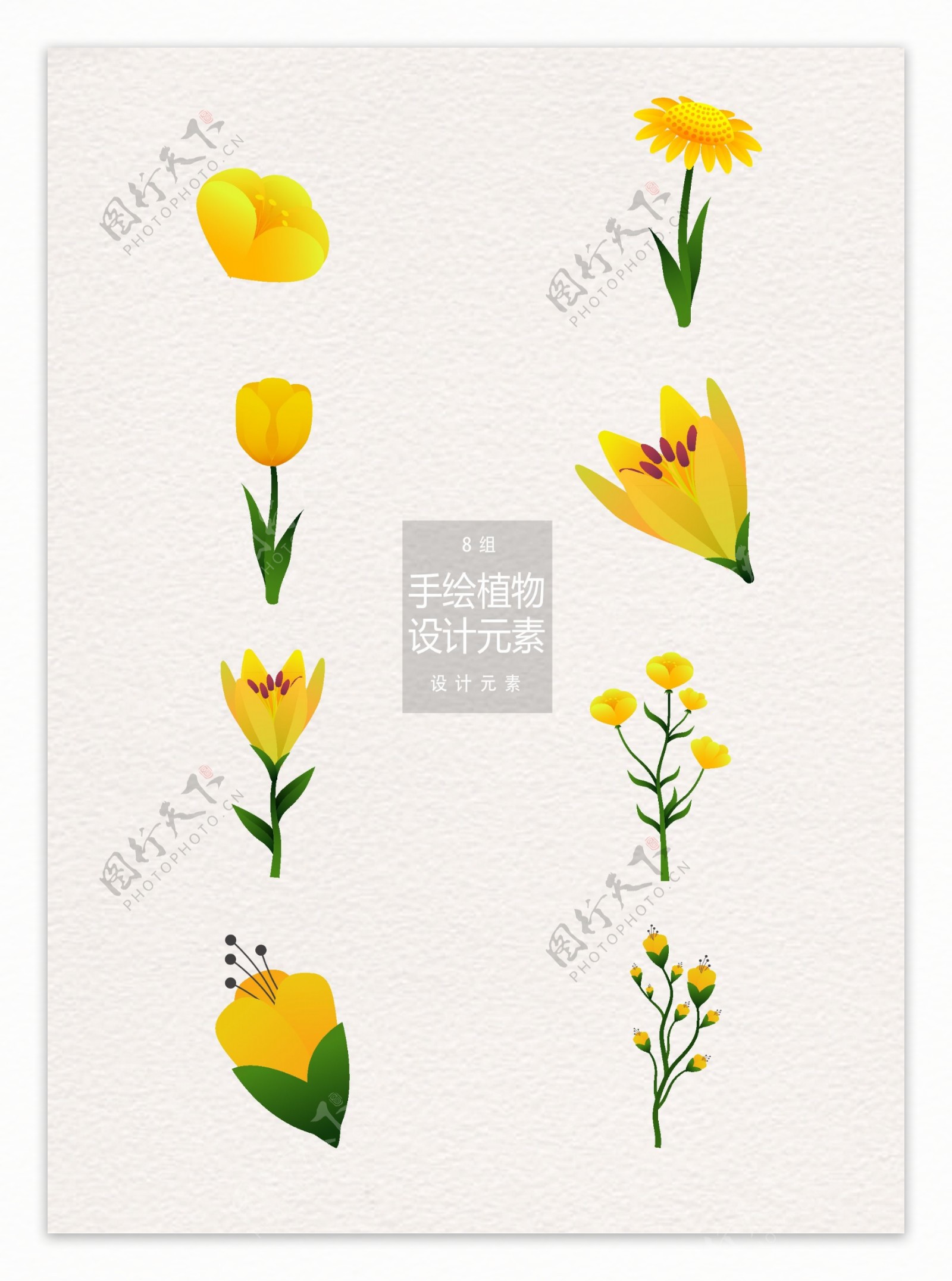 黄色花卉装饰设计元素