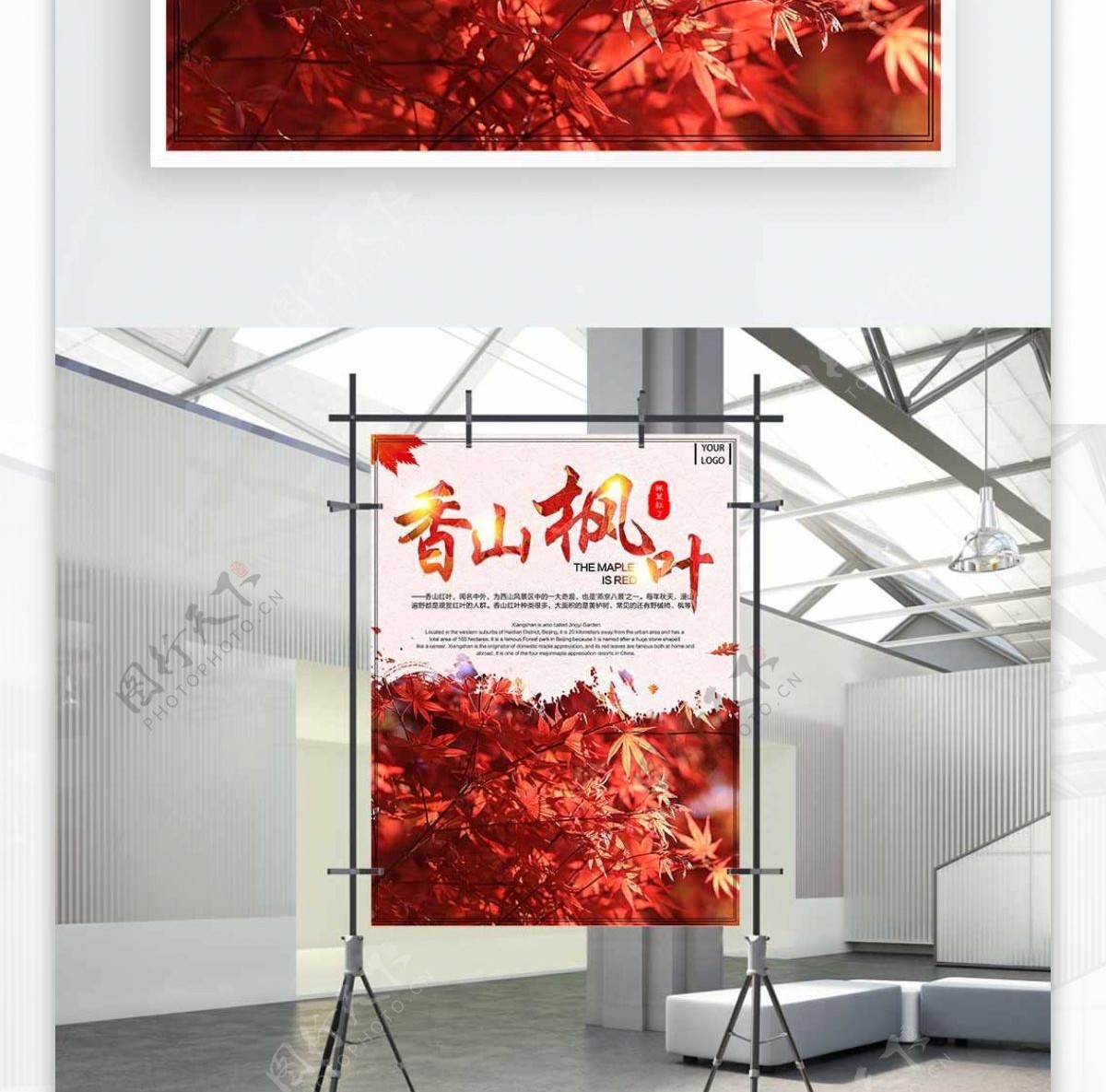 香山枫叶红枫旅游简约小清新海报