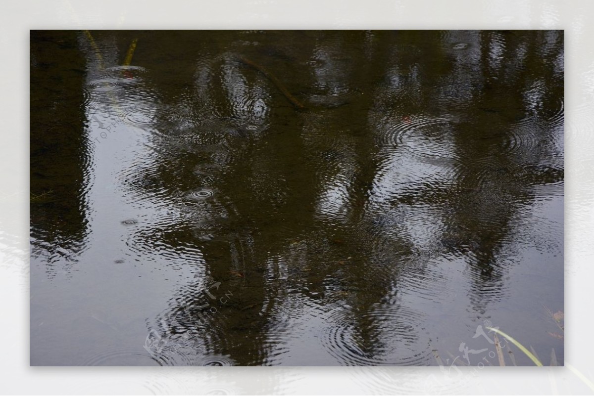 水纹雨雨中湖水波纹