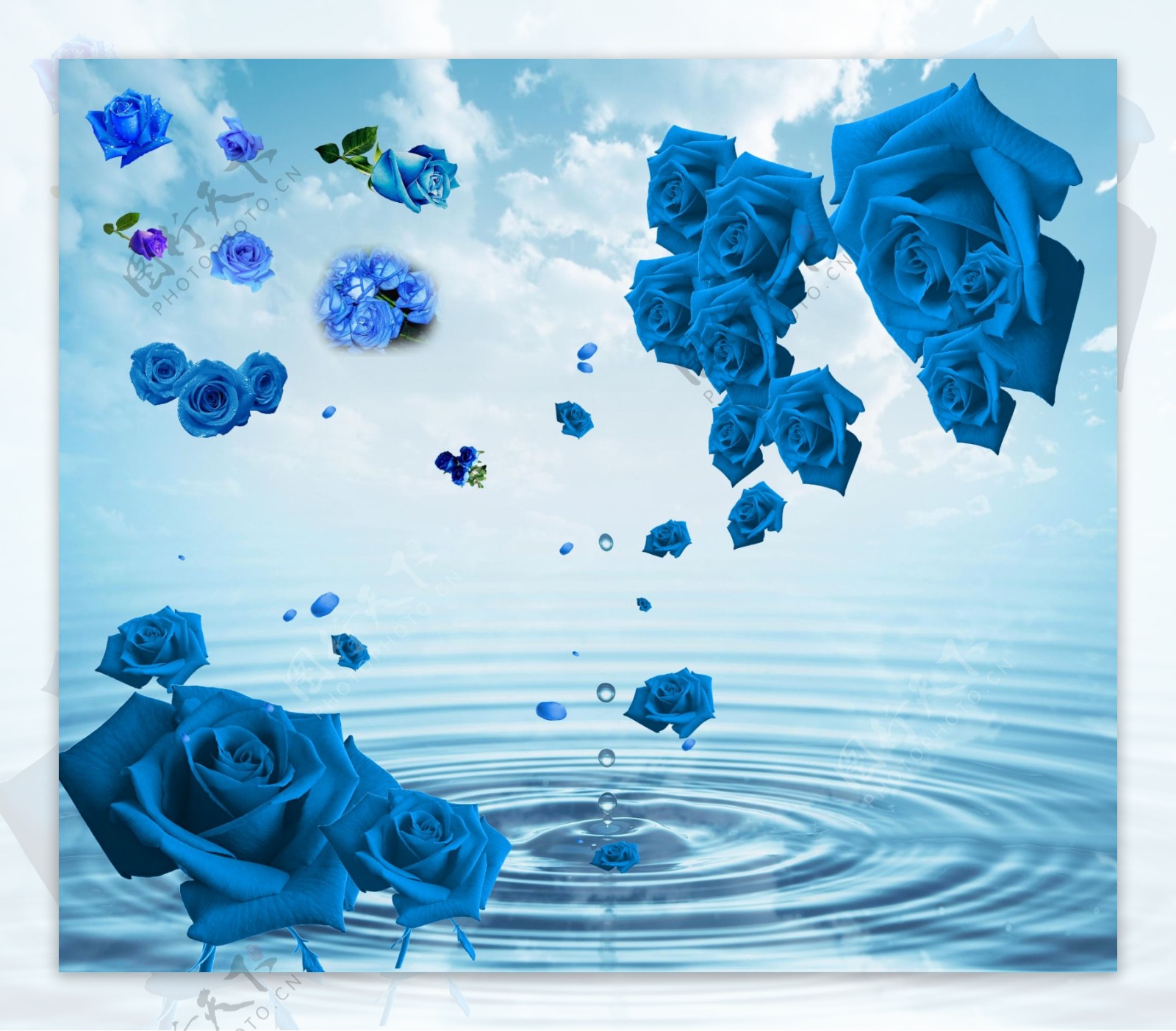 蓝色玫瑰花背景墙