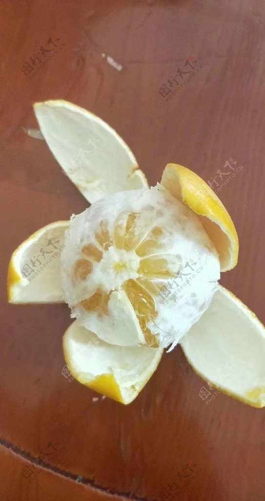 橘子水果