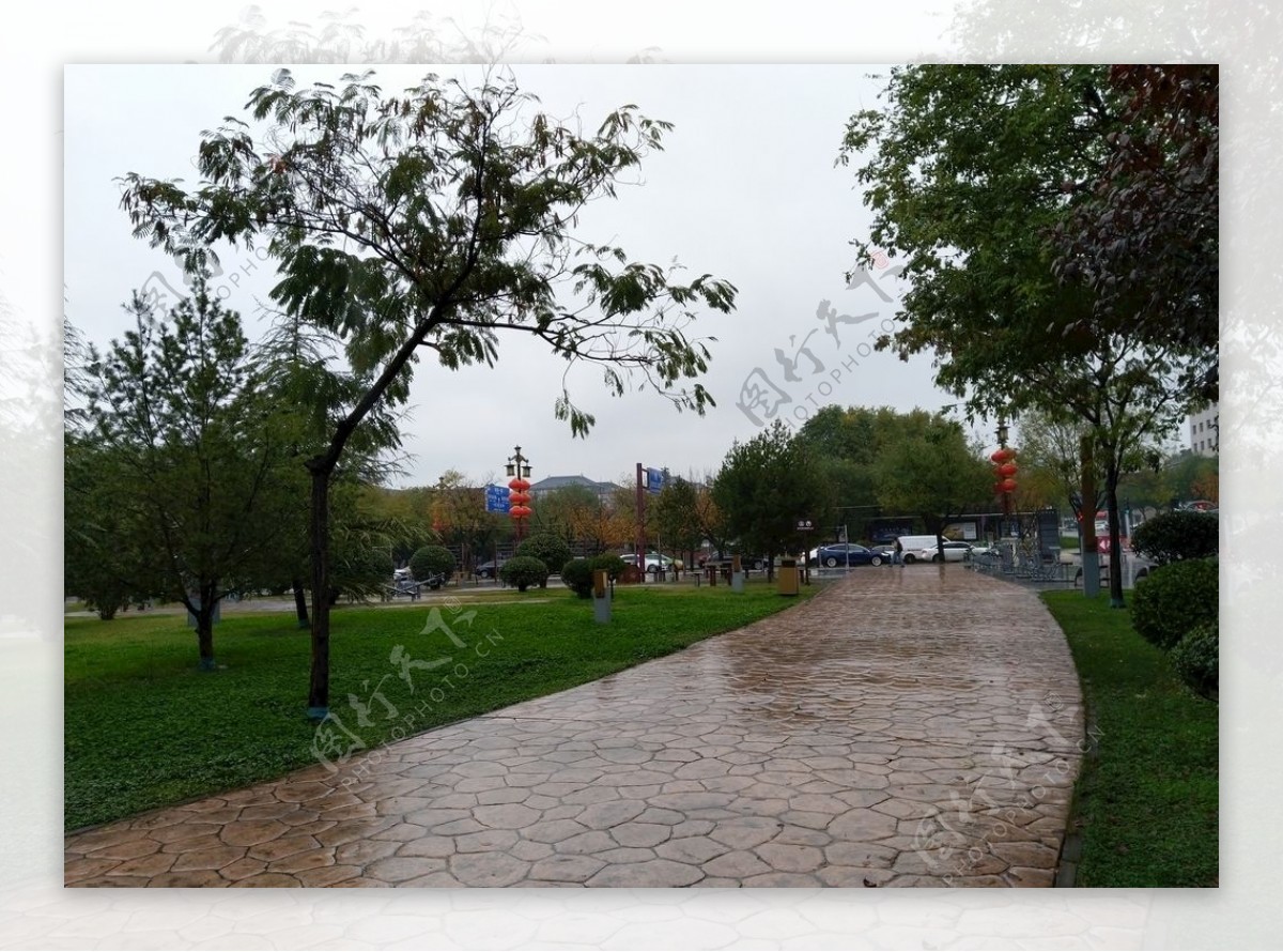 雨天的公园风景