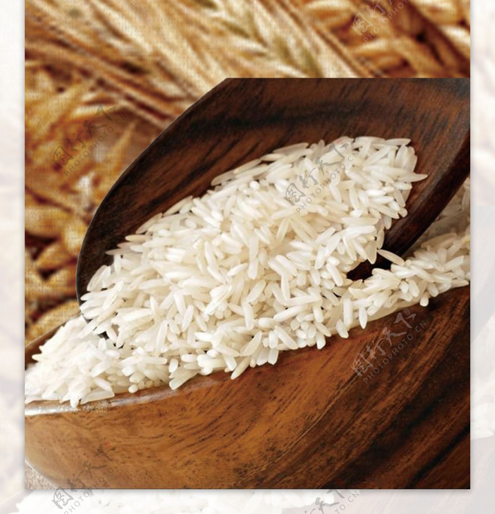大米米面粮油