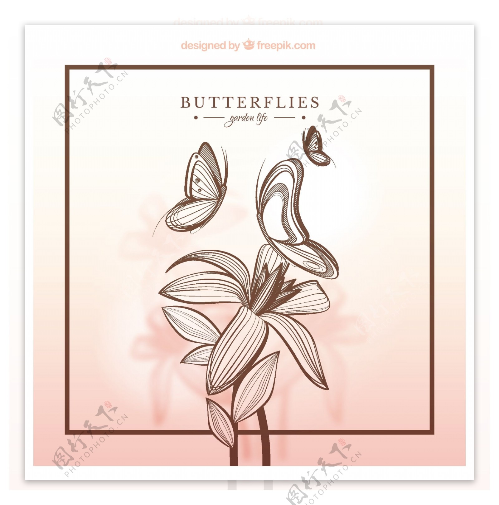 手绘蝴蝶和鲜花