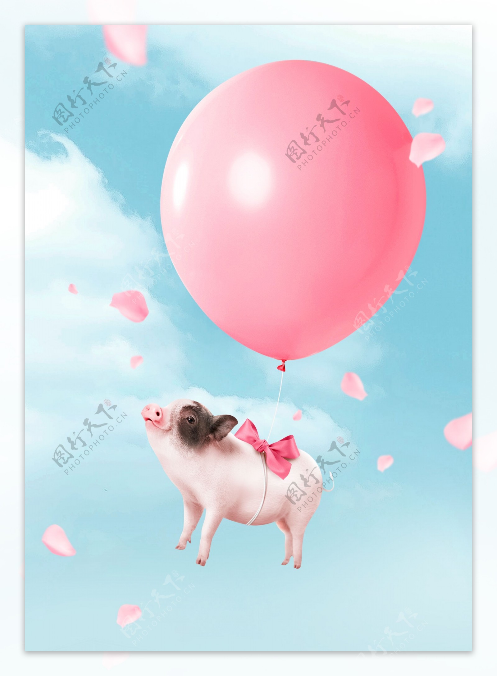 简约粉色气球2019猪年