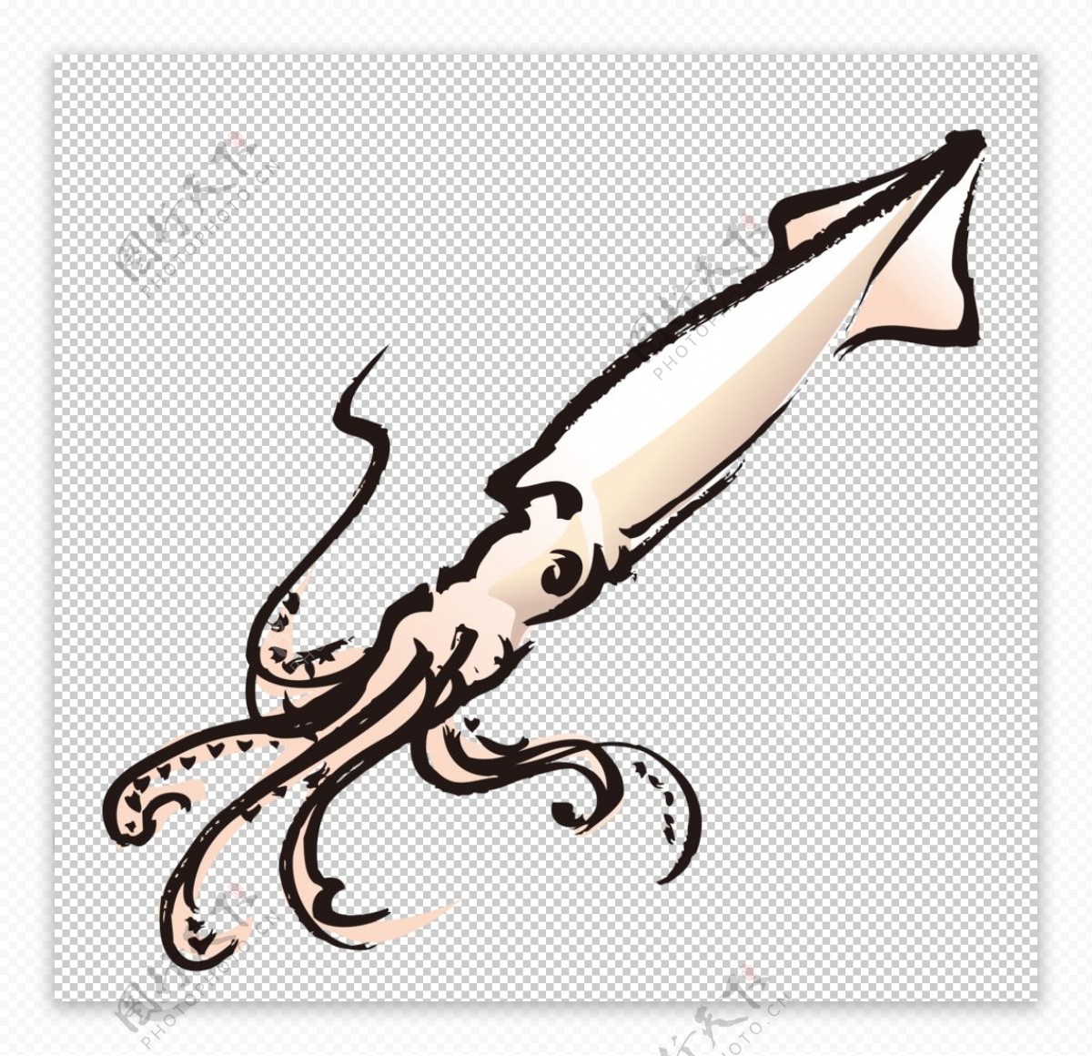 鱿鱼八爪鱼章鱼海产图案水彩绘画