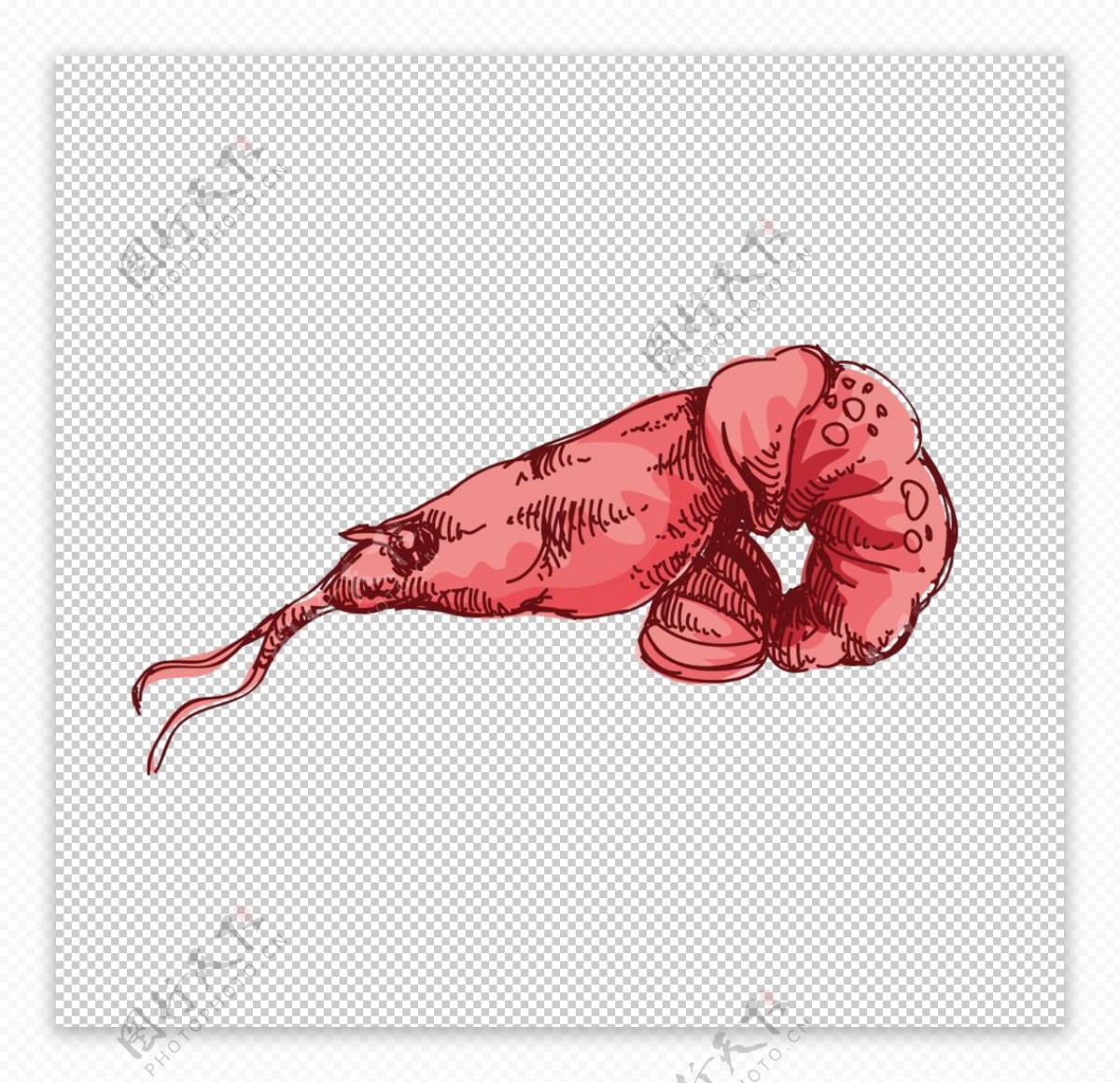 大红色海虾图案