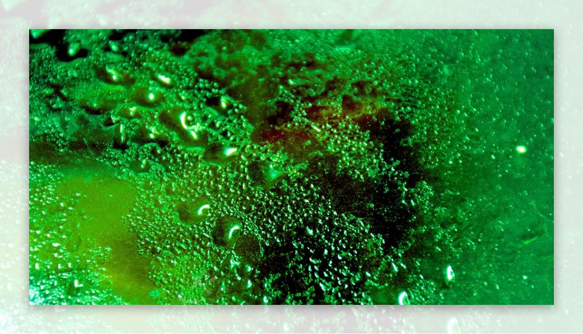 神秘绿色气泡背景壁纸