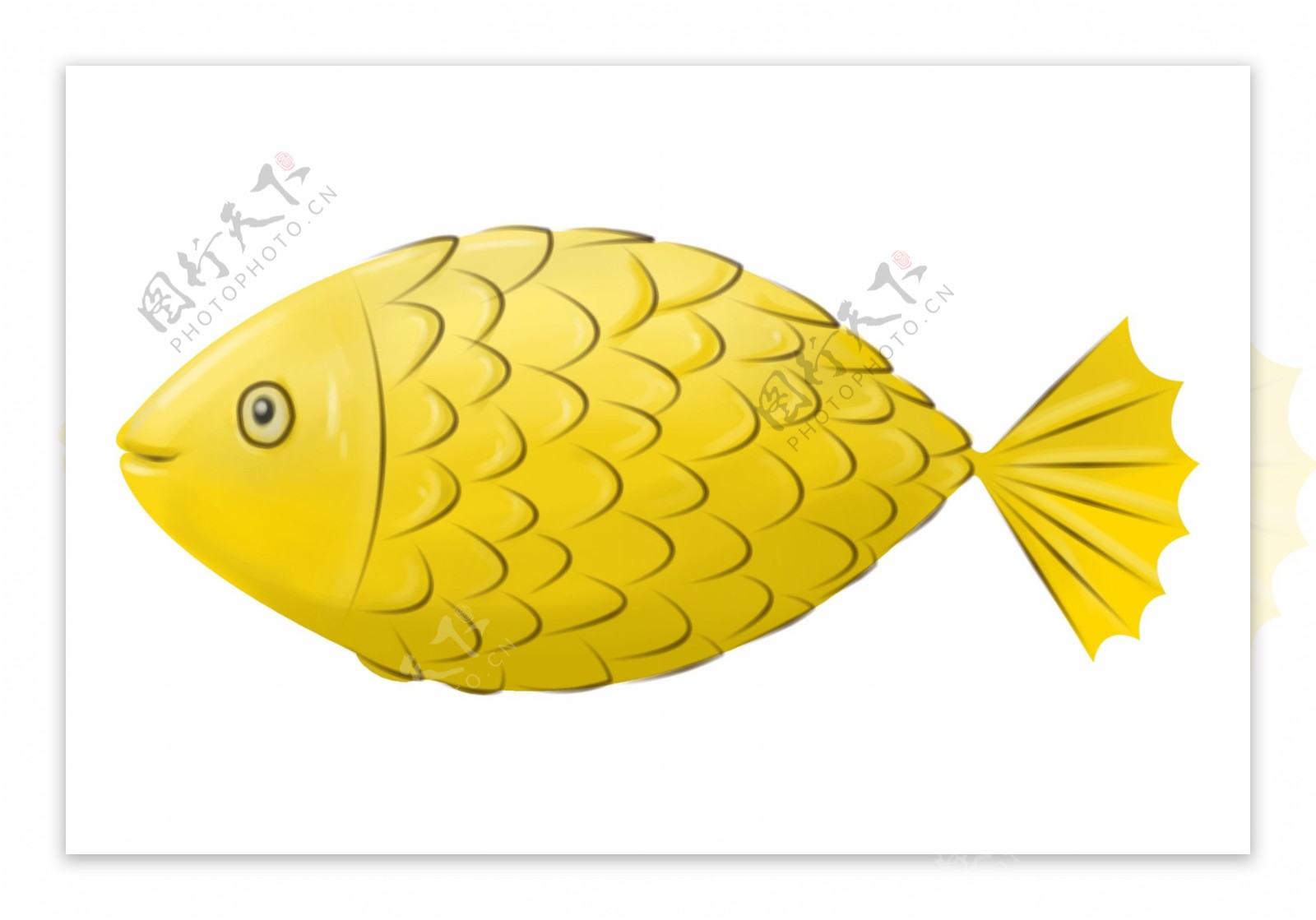 新年黄色的金鱼插画