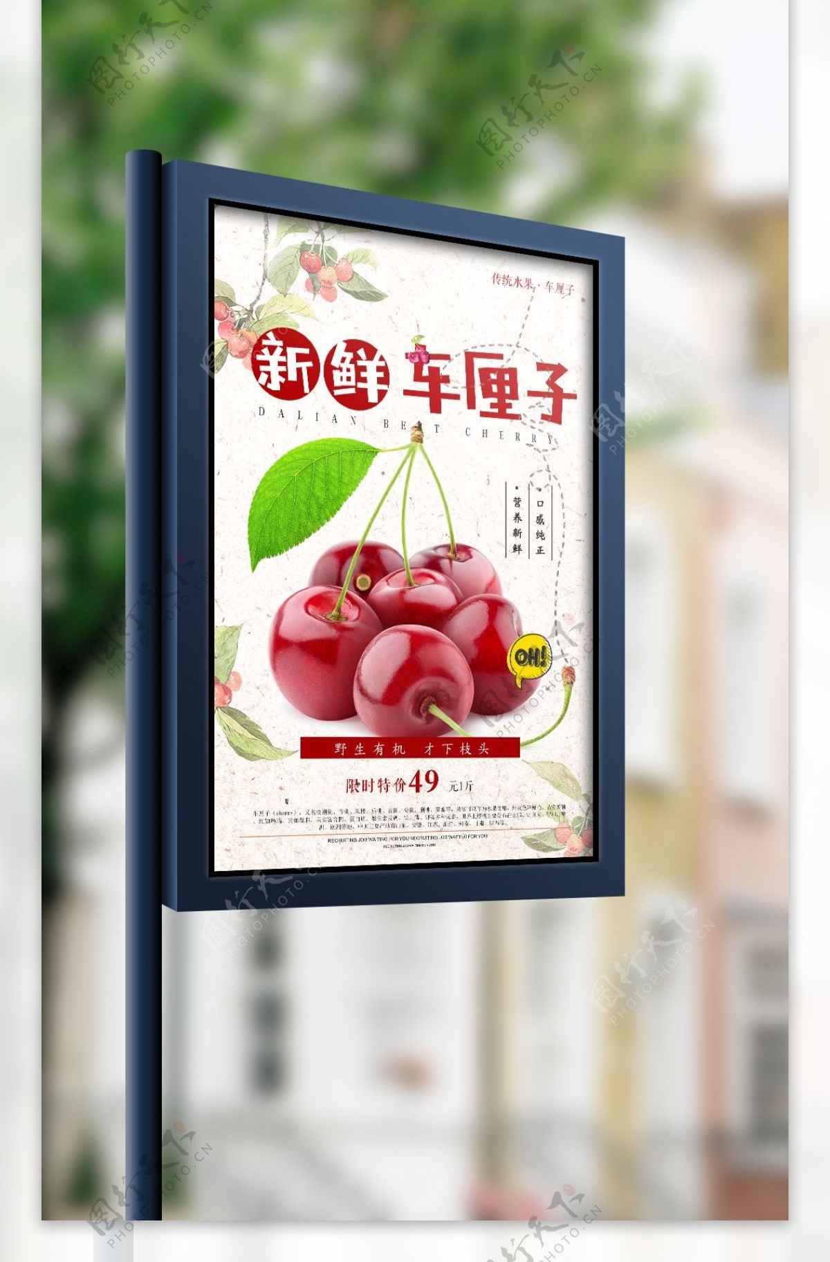 2018新鲜水果当季车厘子海报