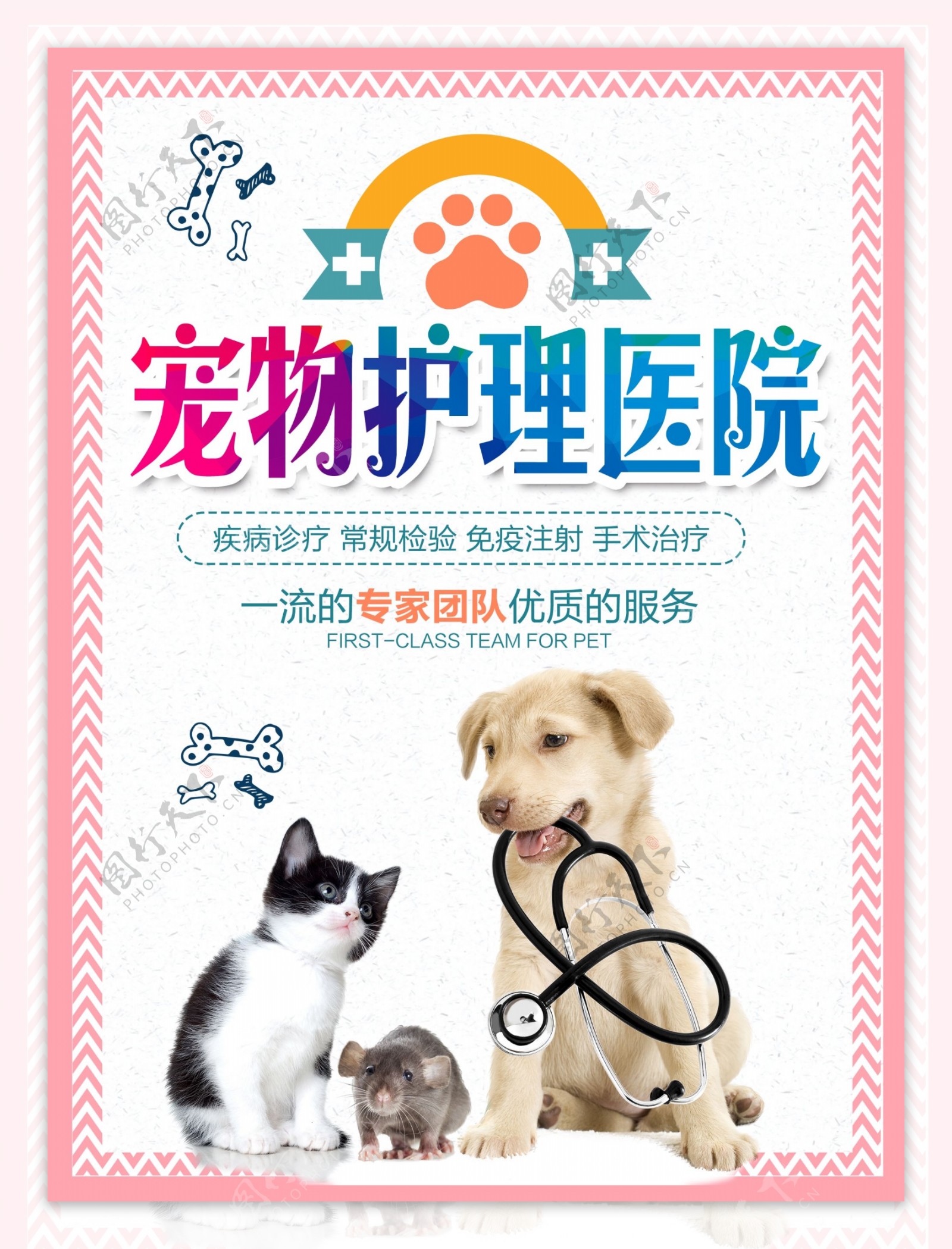 宠物医院护理宣传单彩页设计