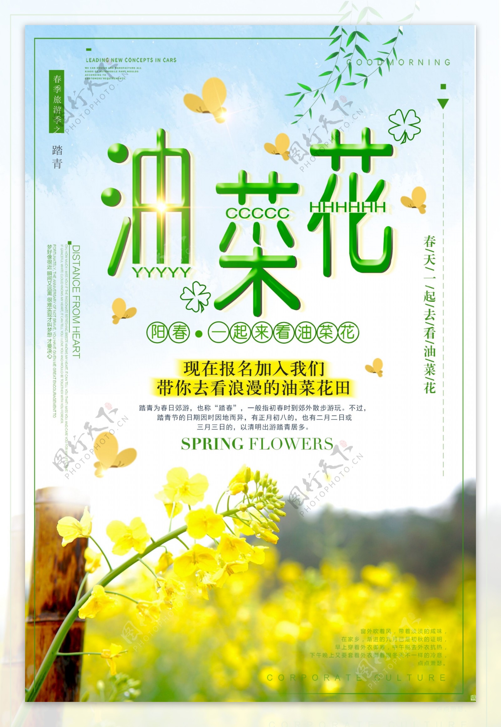春季赏油菜花旅游季海报设计模板下载