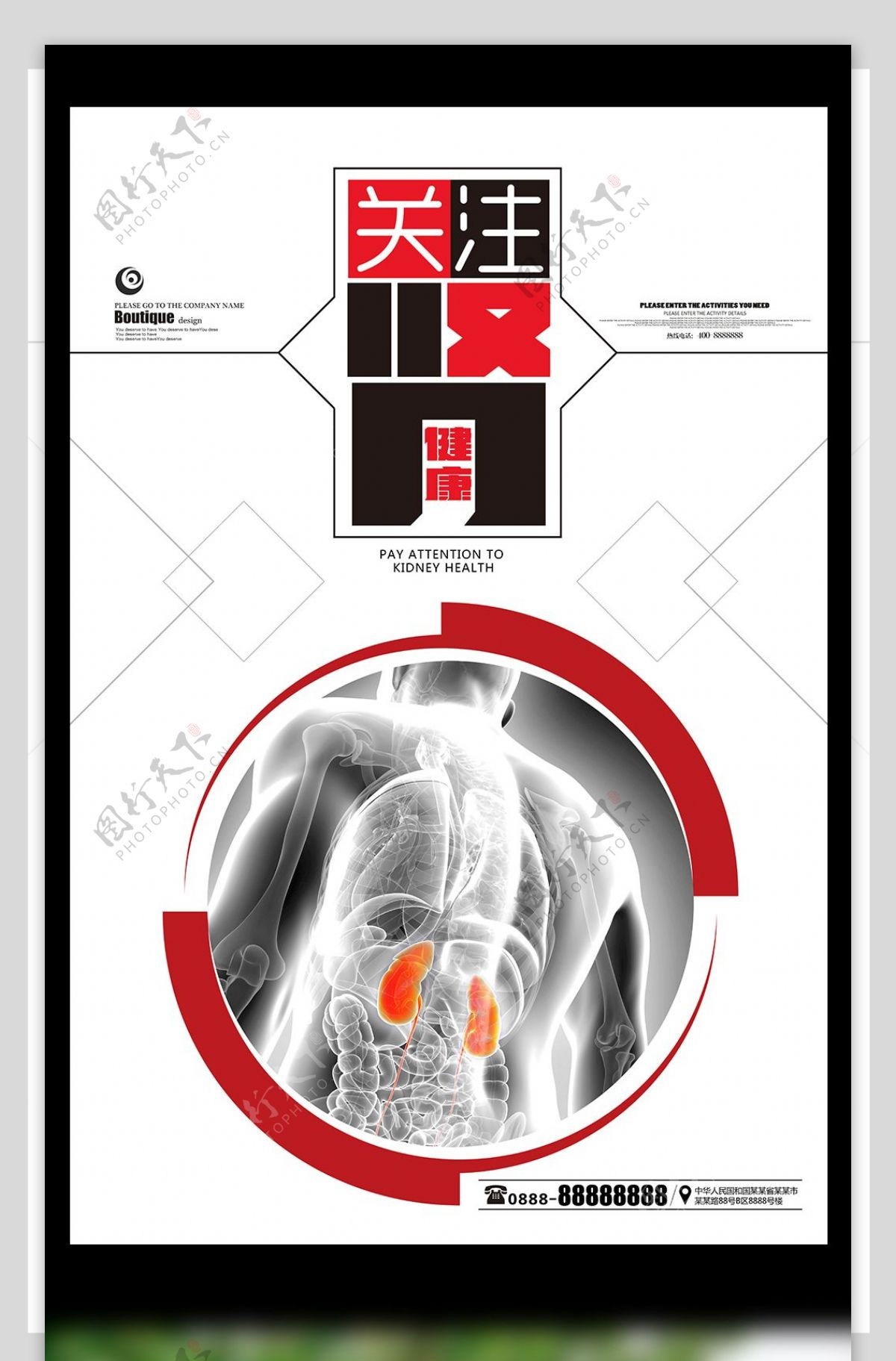 关注肾健康公益海报