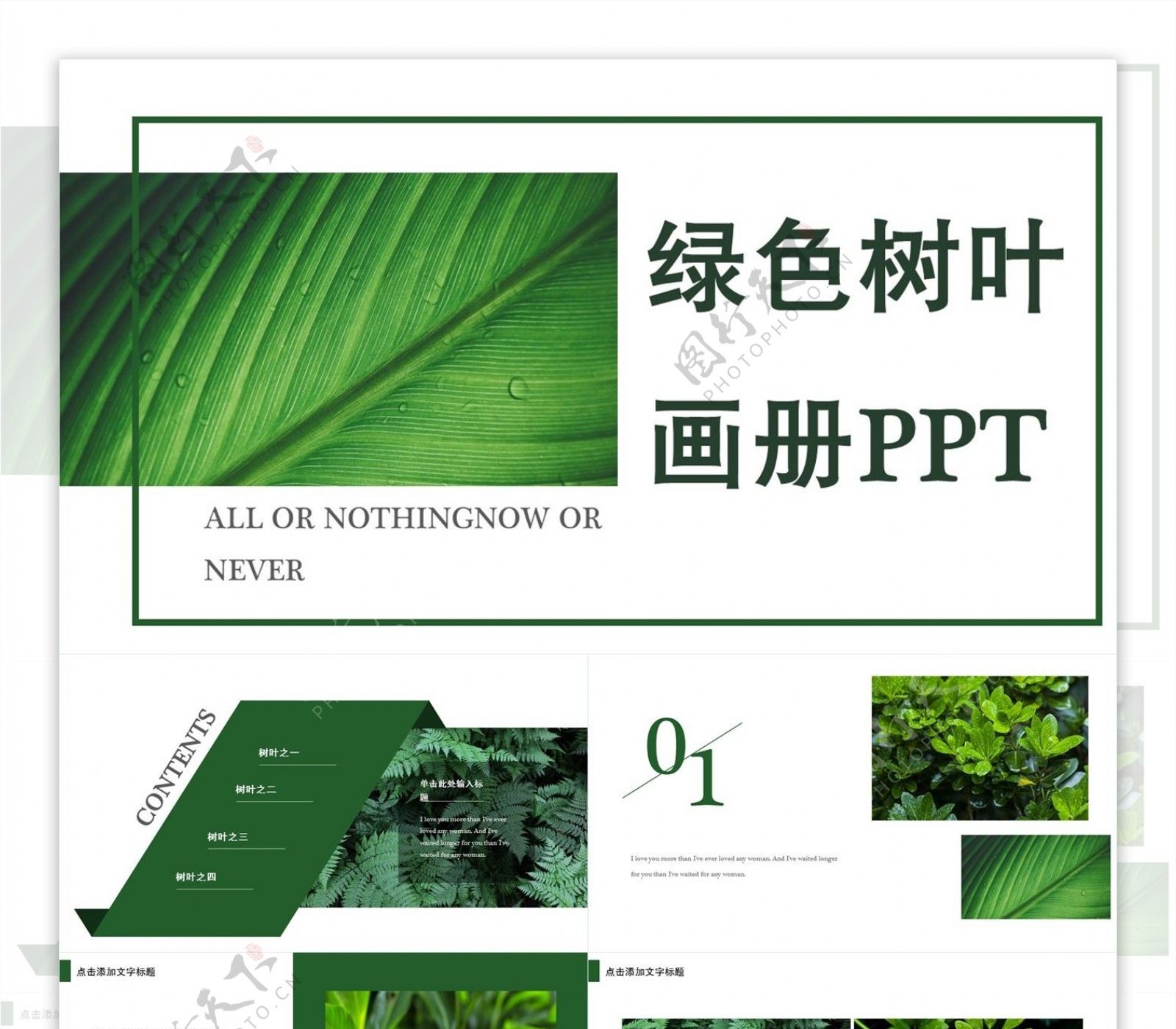 426简约风绿色树叶画册PPT模板