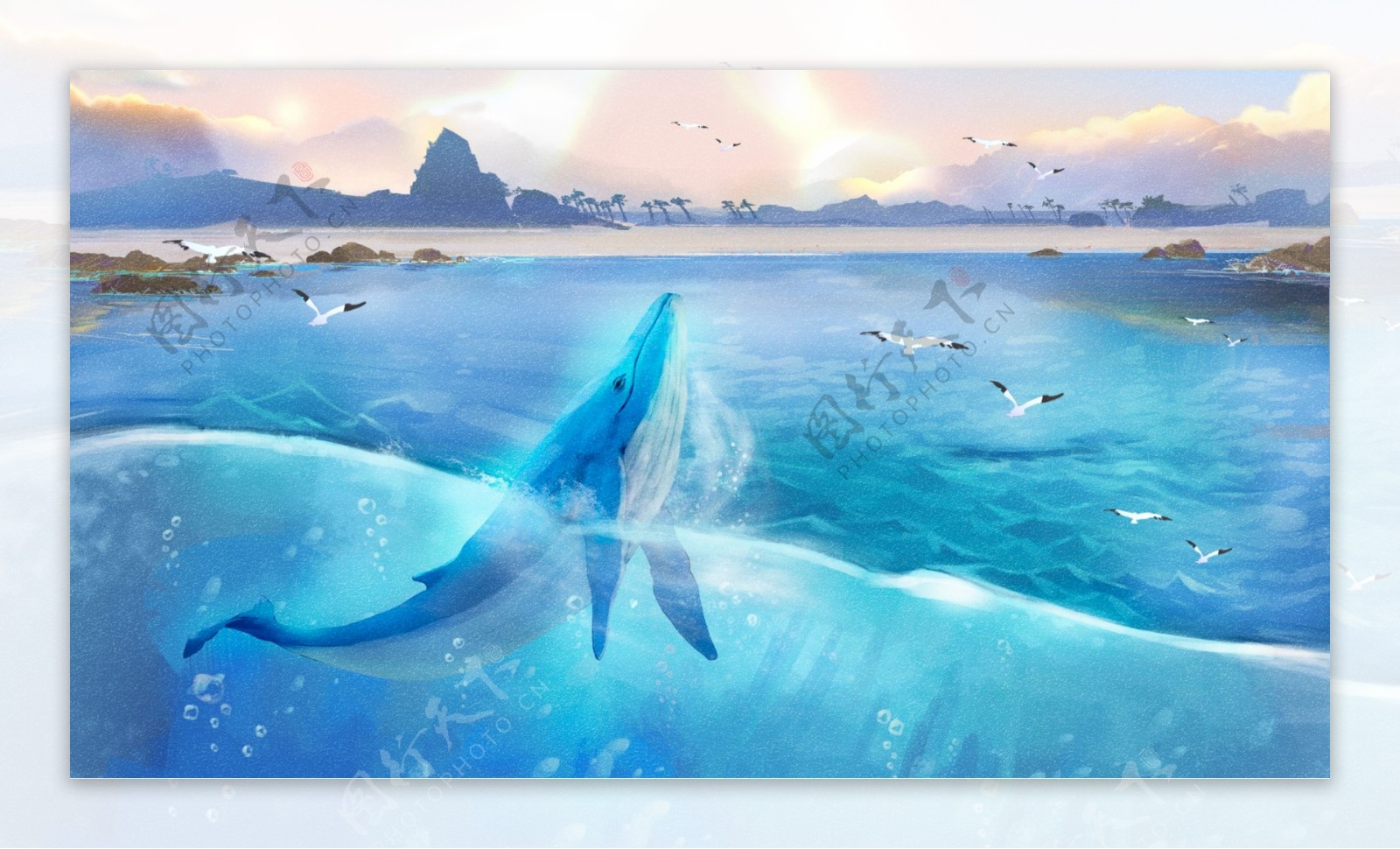唯美大海与鲸治愈系鲸鱼海洋插画
