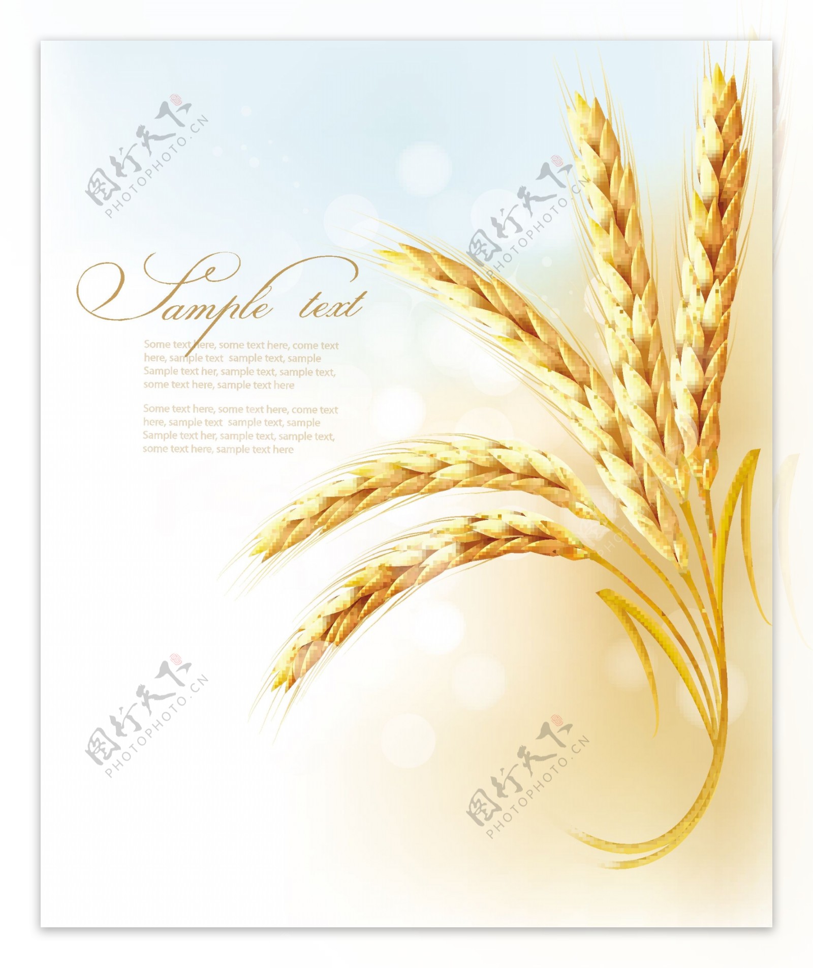 小麦麦穗矢量素材