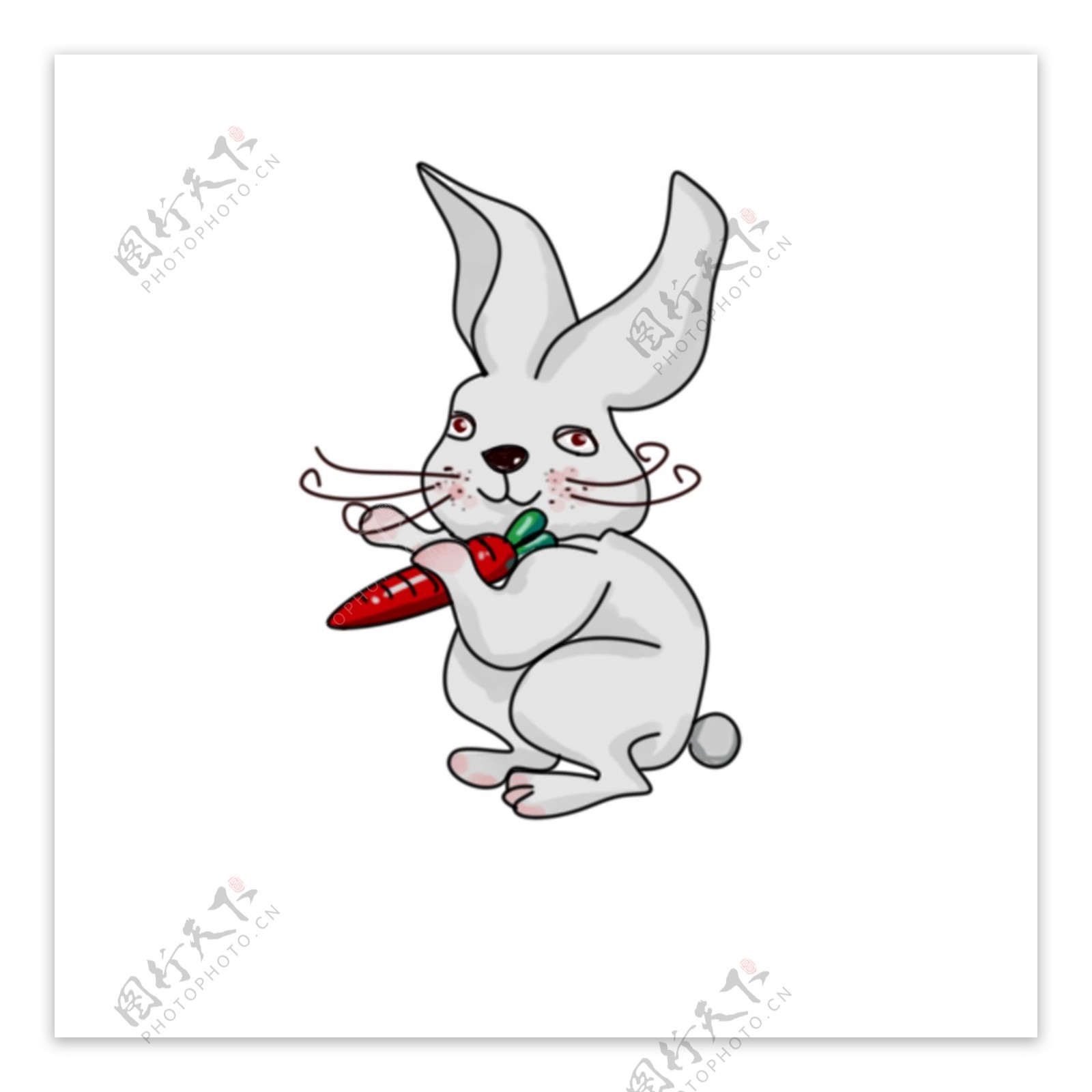 十二生肖兔子可爱卡通手绘动物喜庆萝卜免抠