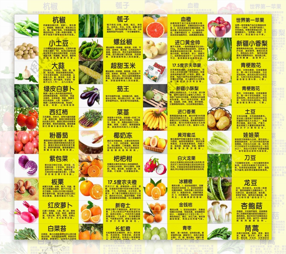 蔬菜摄影图__食物原料_餐饮美食_摄影图库_昵图网nipic.com